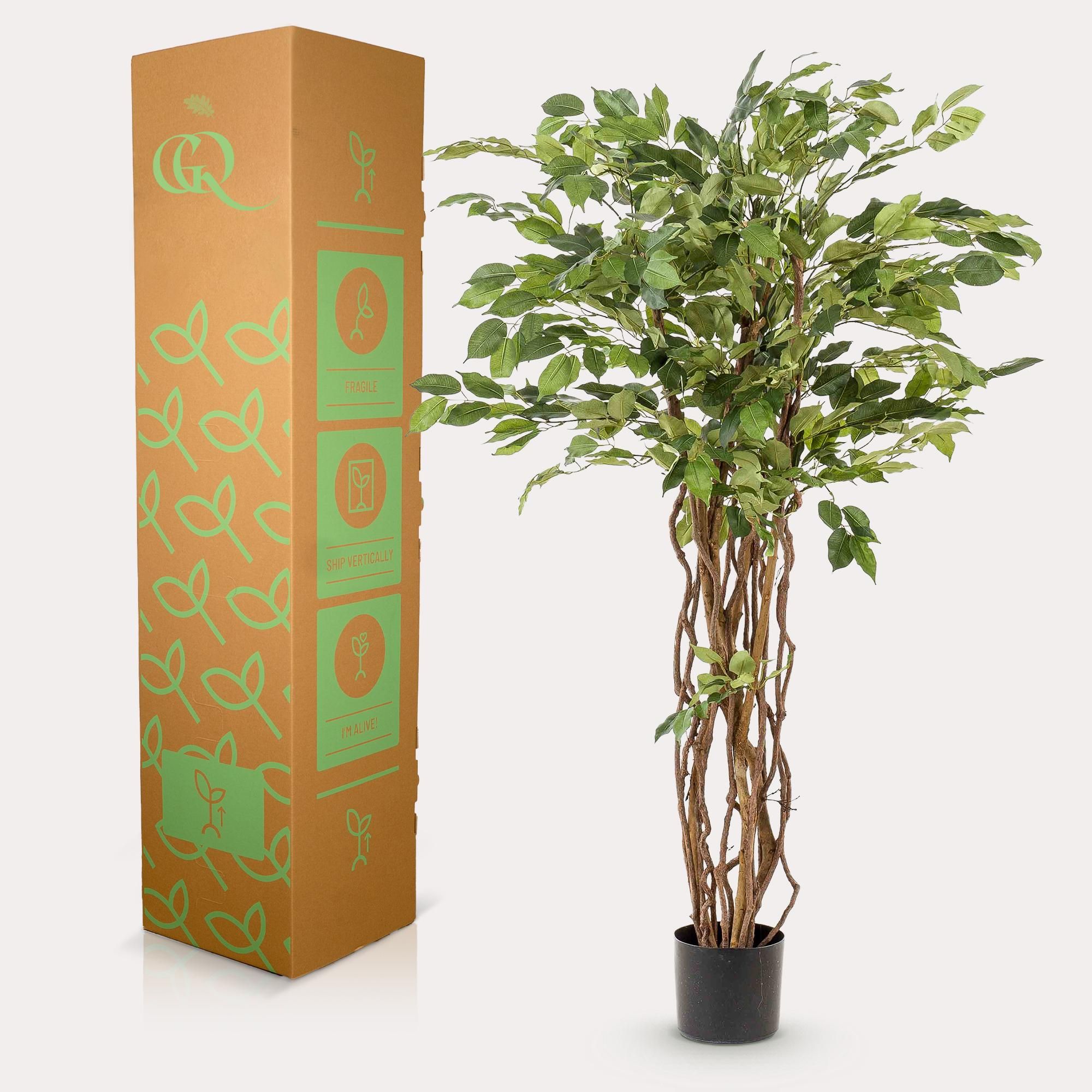 Kunstpflanze Ficus Liana – Vioolblatt – 140cm