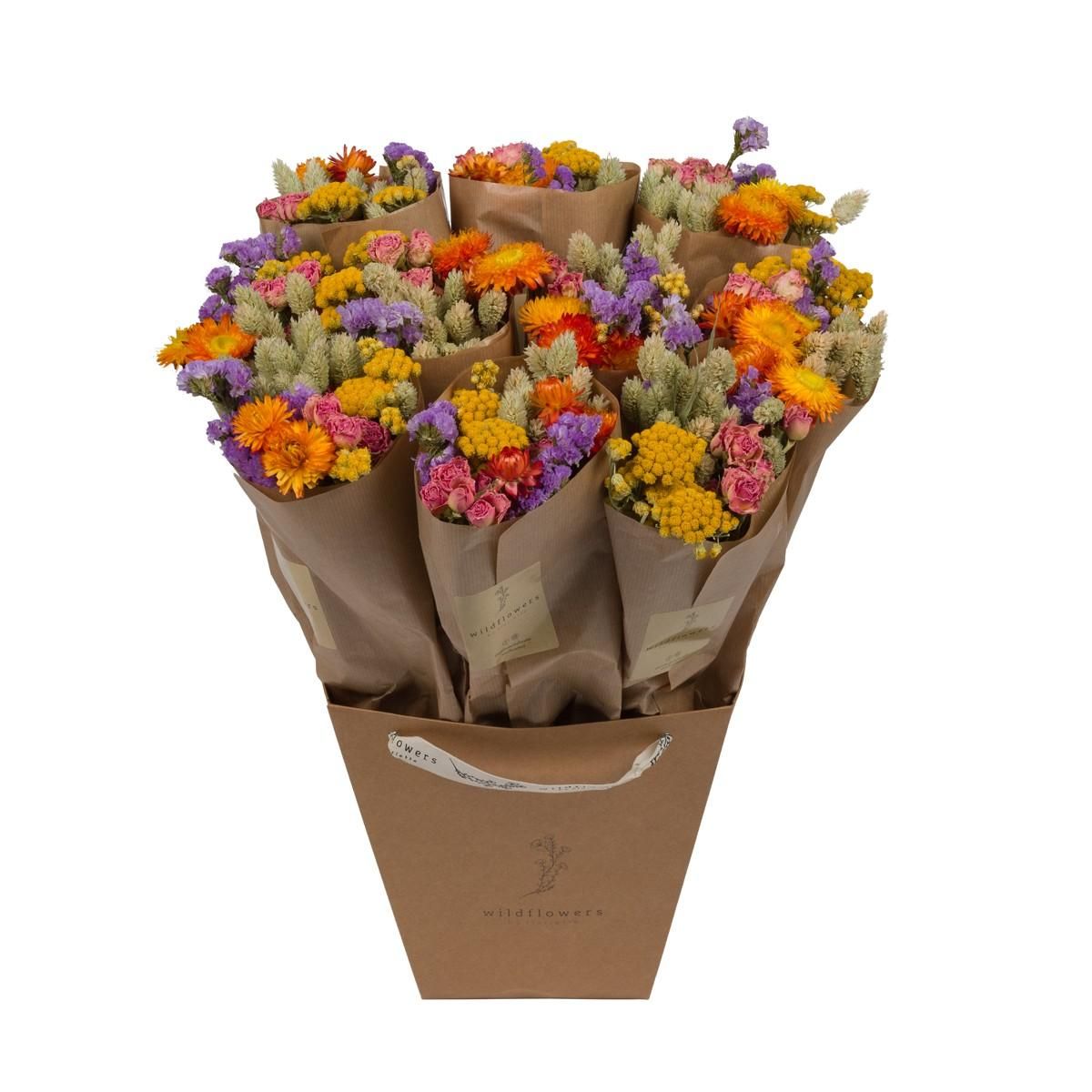 Getrocknete Blumen Multi Mix – 50cm hoch – 10er Pack