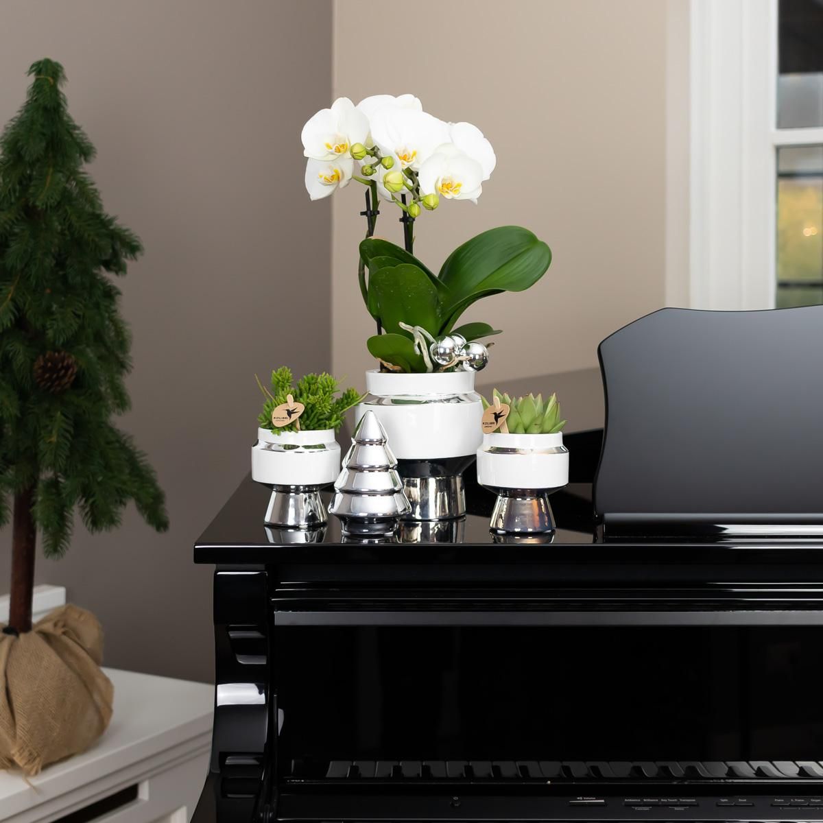 Le Chic Keramik Blumentopf Weiß mit Silberdetails