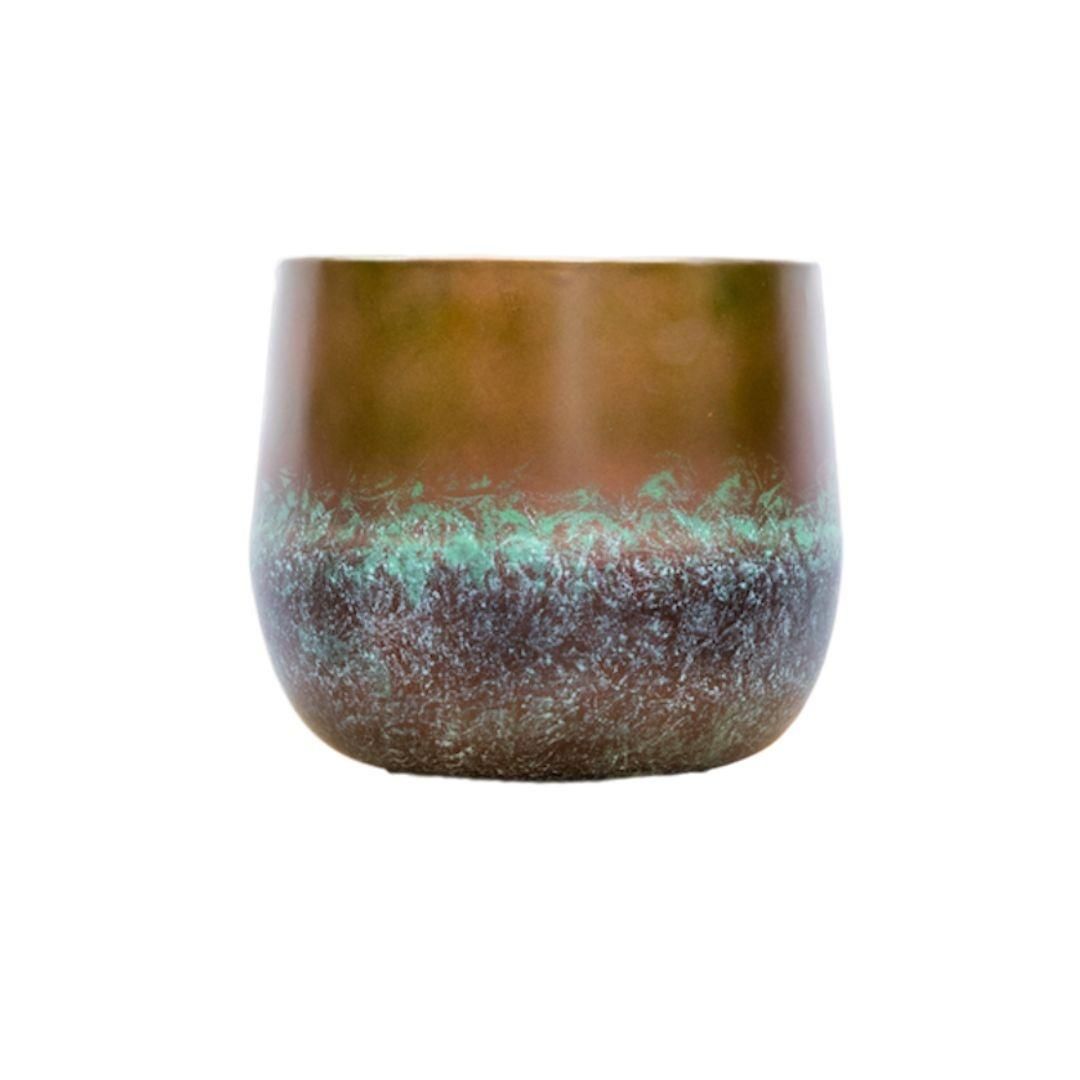 Elisa Mystic Bronze Zimmerpflanze