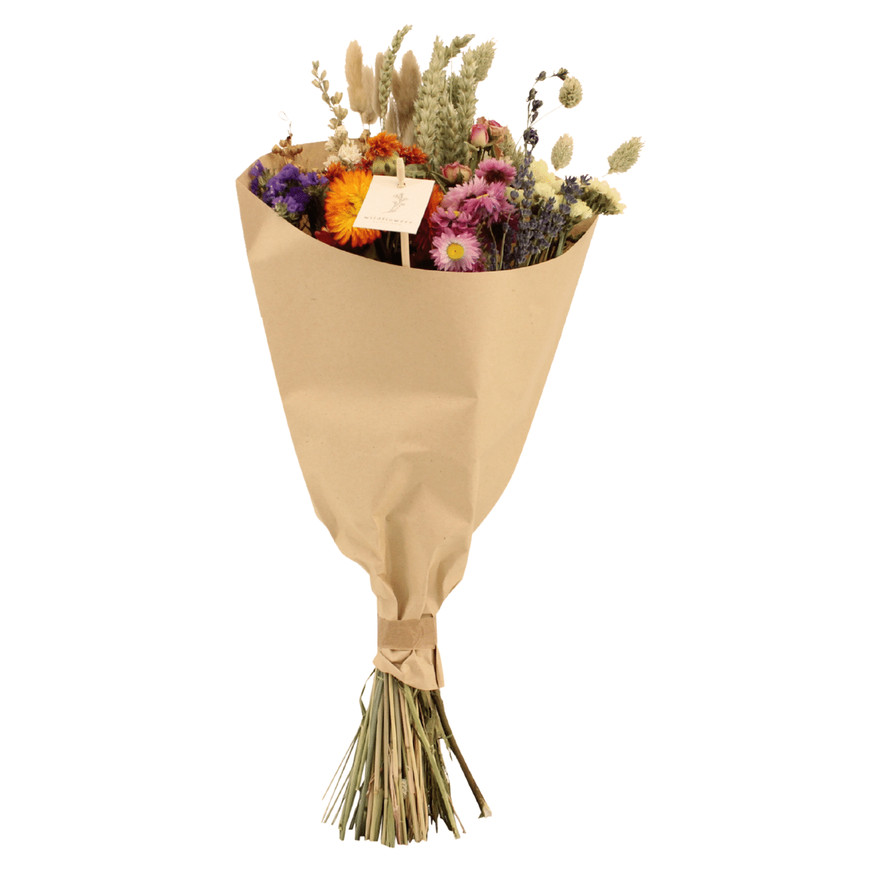 Trockenblumen Feldstrauß Multi – Ø20cm | ↕50cm Dekorativ