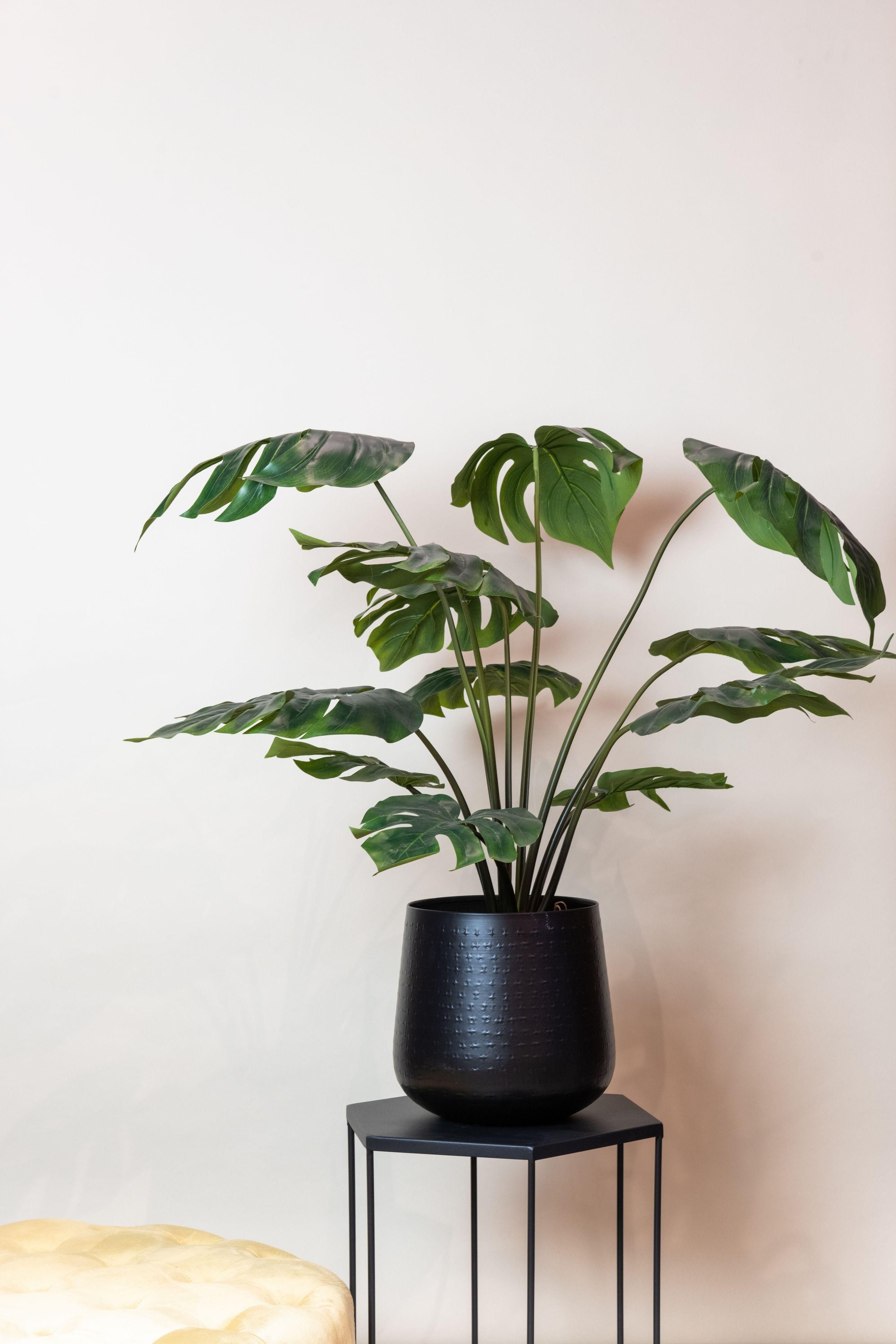 Künstliche Monstera Deliciosa Zimmerpflanze