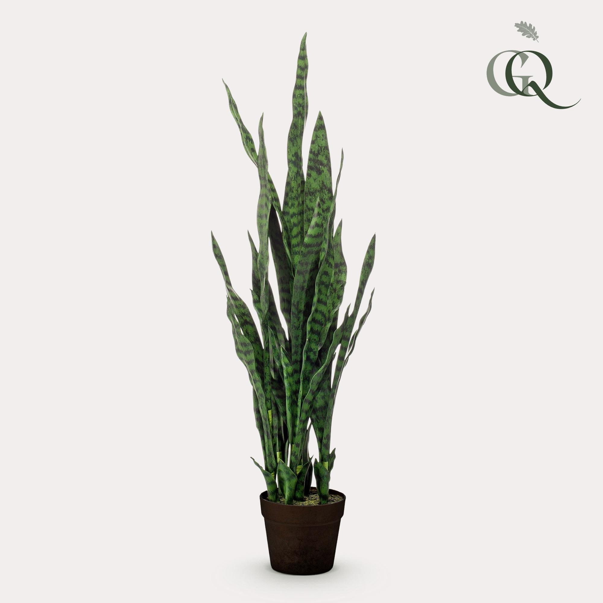 Kunstpflanze Sansevieria Black Coral Vrouwentong