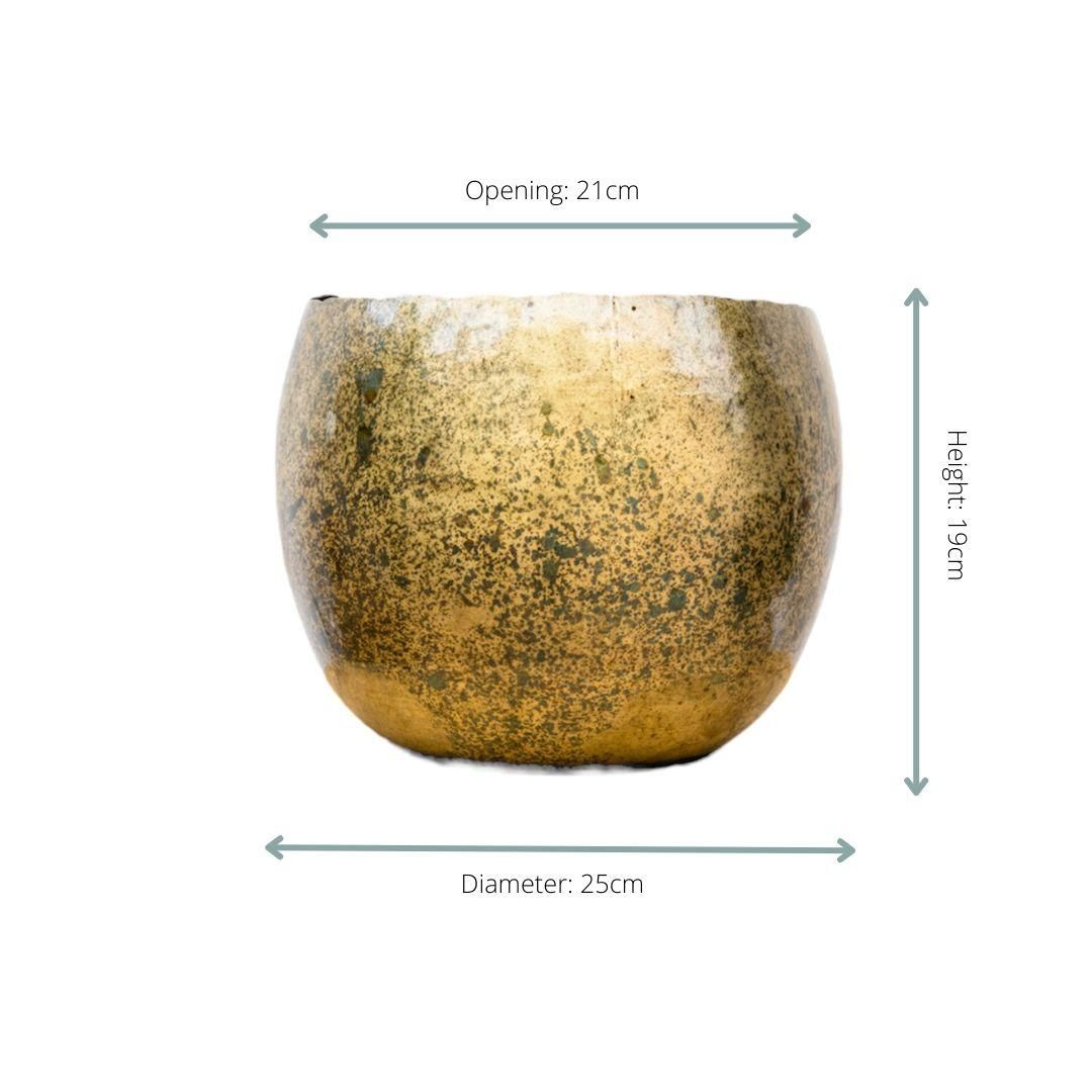 Ellen Brass Pflanze mit elegantem Messing-Look