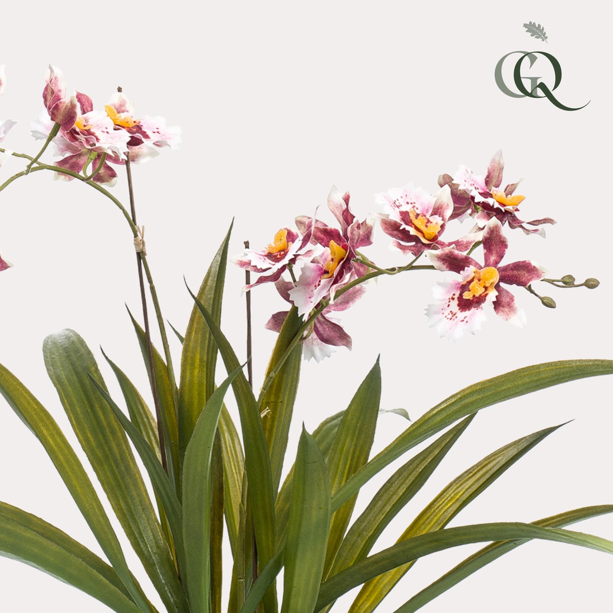 Künstliche Orchidee – Bordeaux – 45cm – Kunstpflanzen