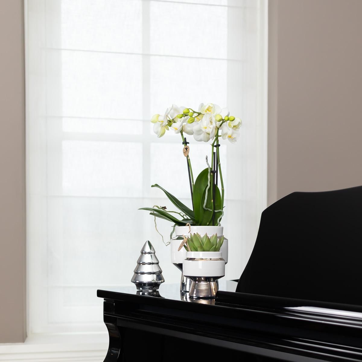Le Chic Keramik Blumentopf Weiß mit Silberdetails
