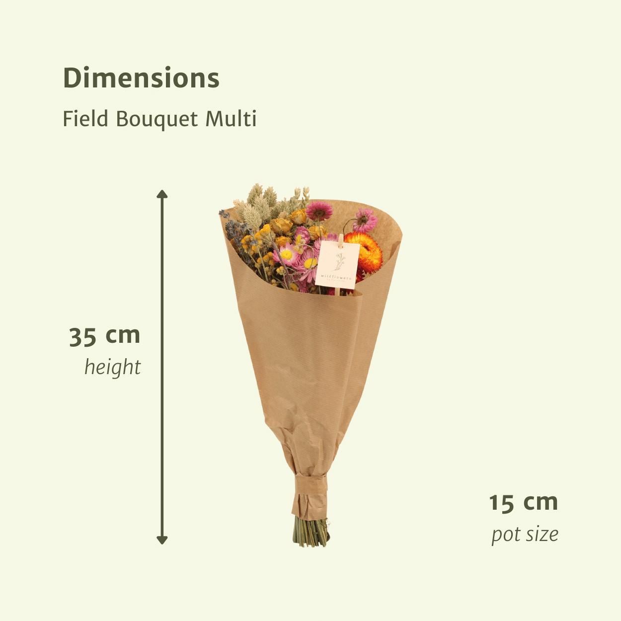 Farbenfroher Trockenstrauß Field Bouquet Multi