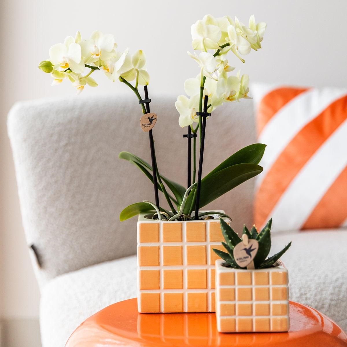 Ziertopf Mosa – Orange – Ø9cm – Glänzend