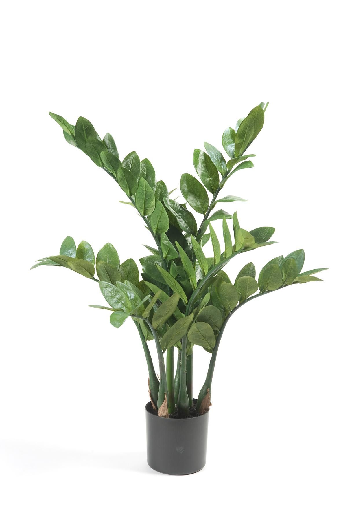 Kunstpflanze Zamioculcas Zimmerpalme 70 cm