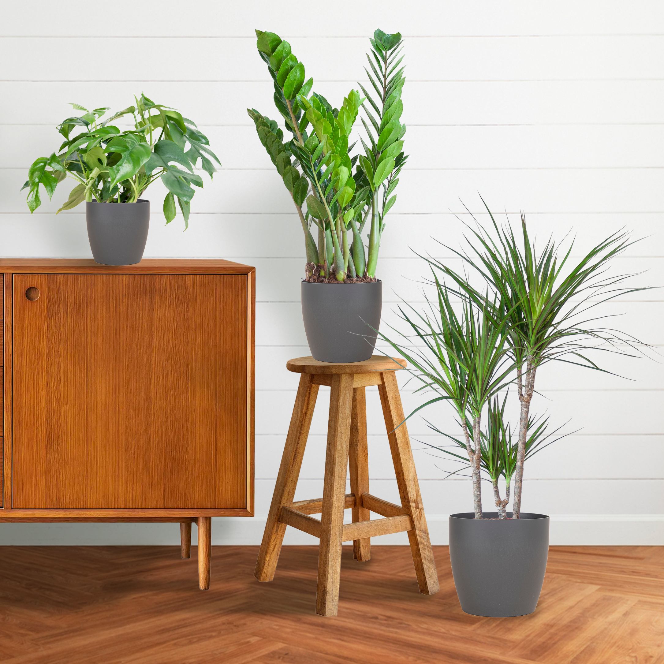 Schatten Pflanzenbox – Medium – mit Vibers Topf Grau