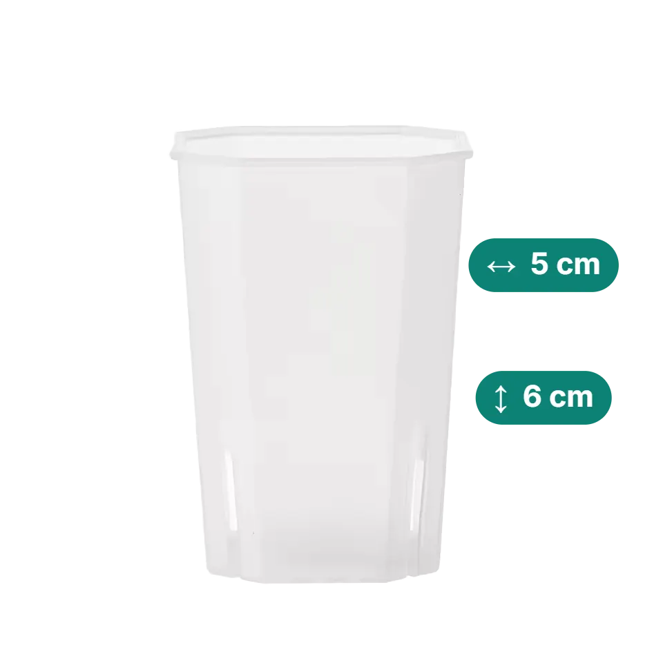 Eckige & hohe Aroid Töpfe – Platzsparend & Transparent (Höhe in cm:6, Topfdurchmesser in cm:5)