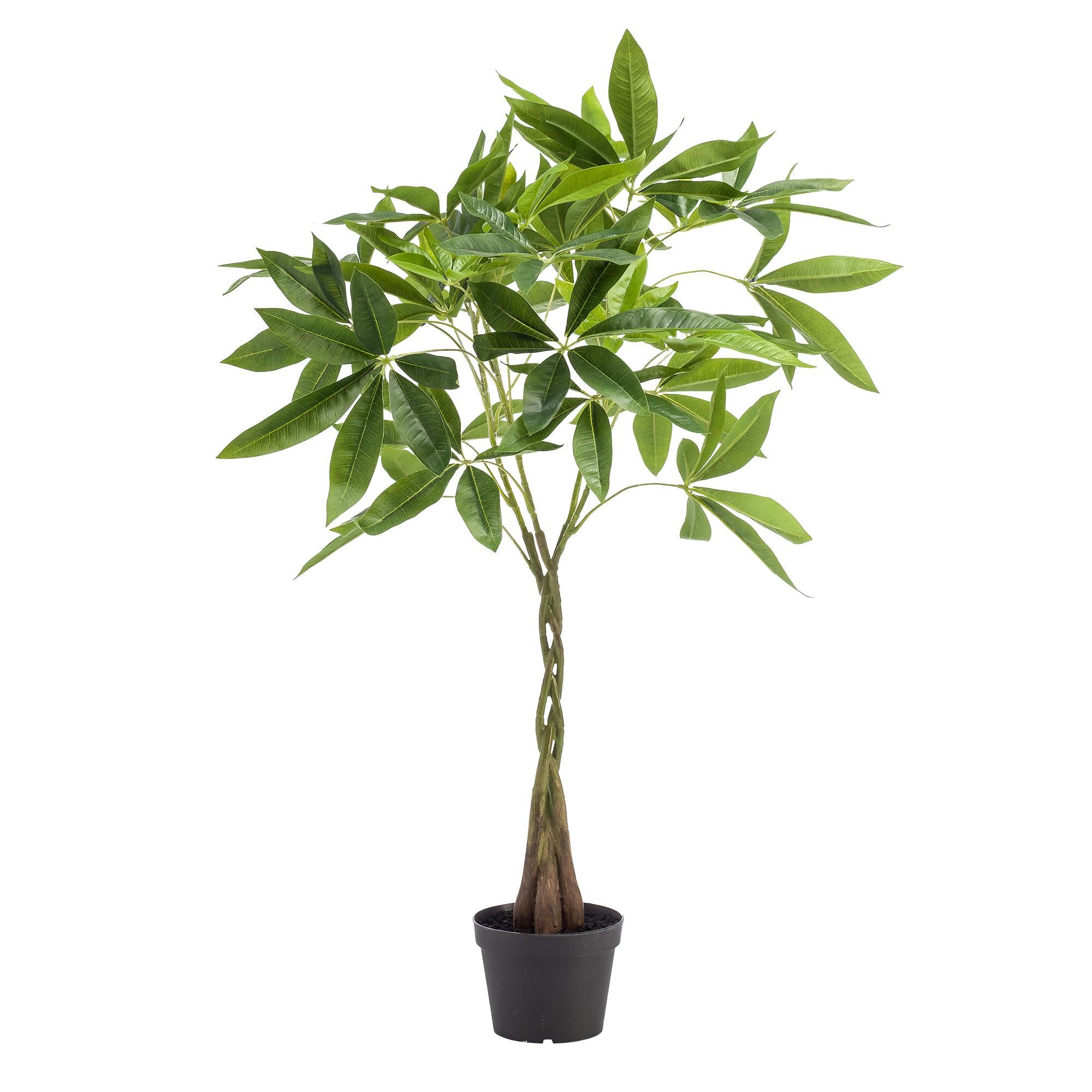 Kunstpflanze Pachira Aquatica – Geldbaum – 90cm Hoch – Täuschend Echt