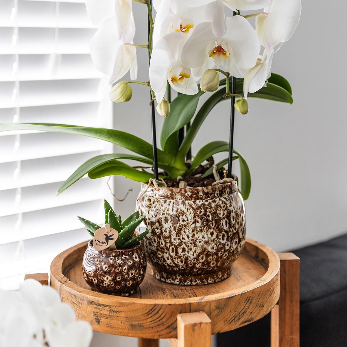 Keramik Safari Blumentopf Ø12cm