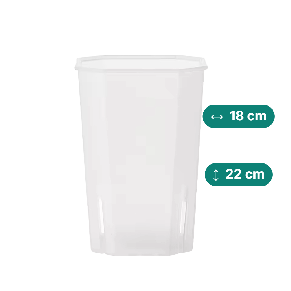 Eckige & hohe Aroid Töpfe – Platzsparend & Transparent (Topfdurchmesser in cm:18, Höhe in cm:22)