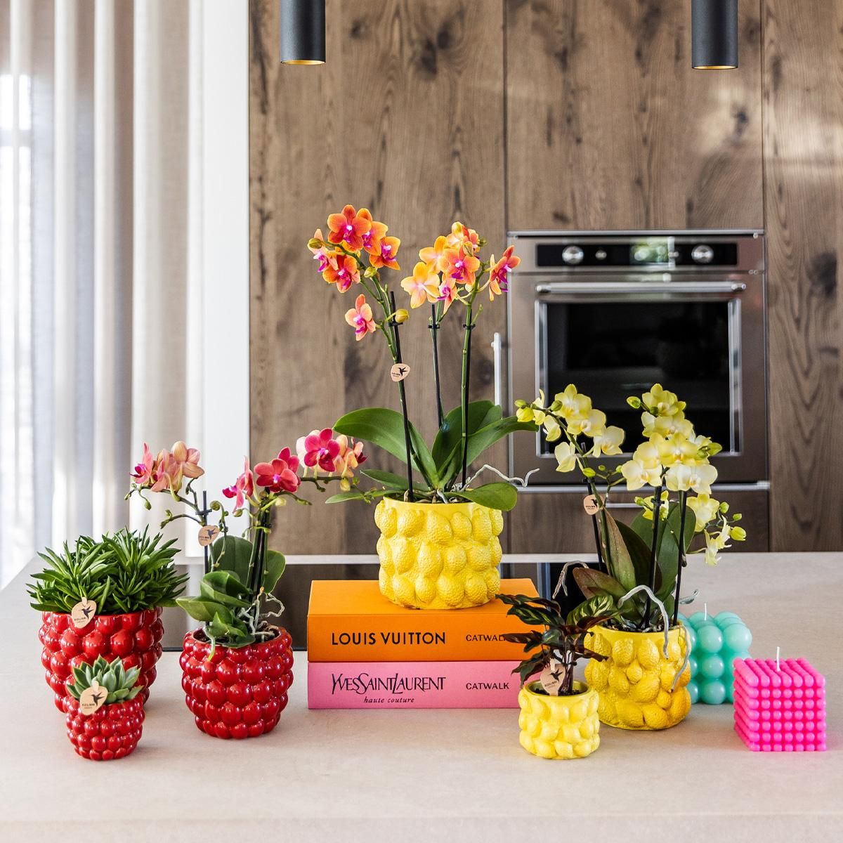 Phalaenopsis Orchidee Gelb im Citrus Ziertopf
