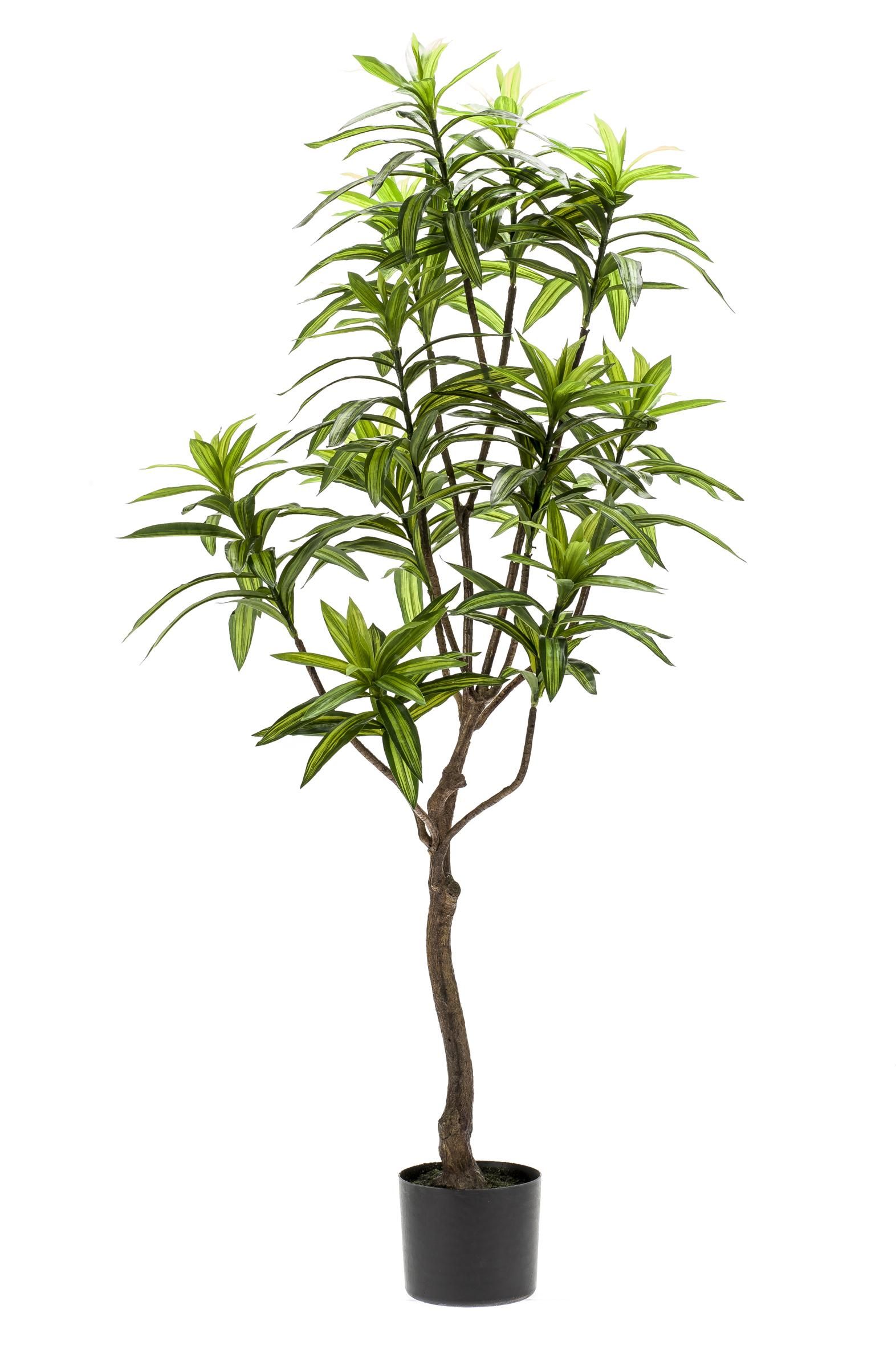Künstliche Dracaena Drachenbaum Kunstpflanze