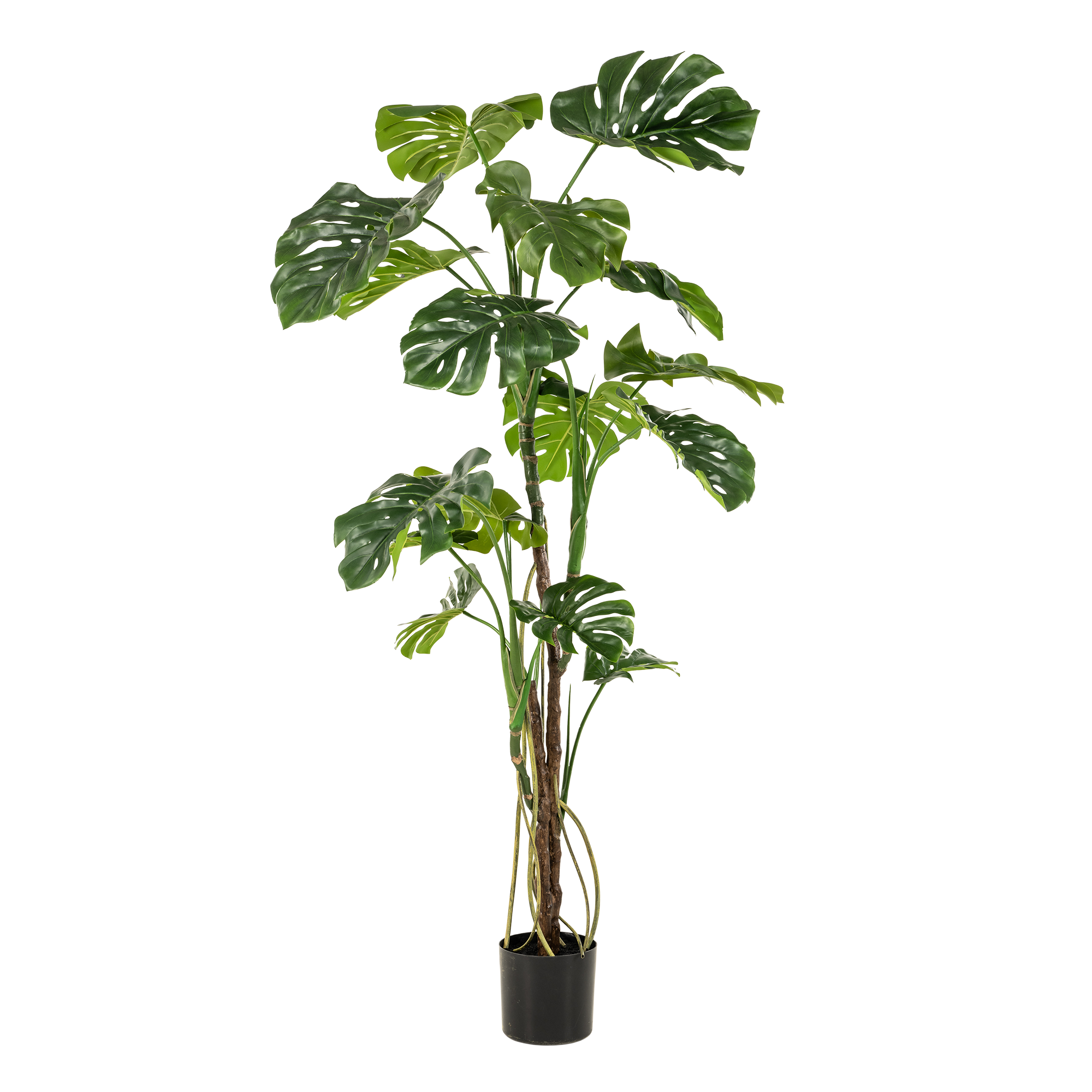 Kunstpflanze Monstera – 180cm – Ideal als Gartenpflanze