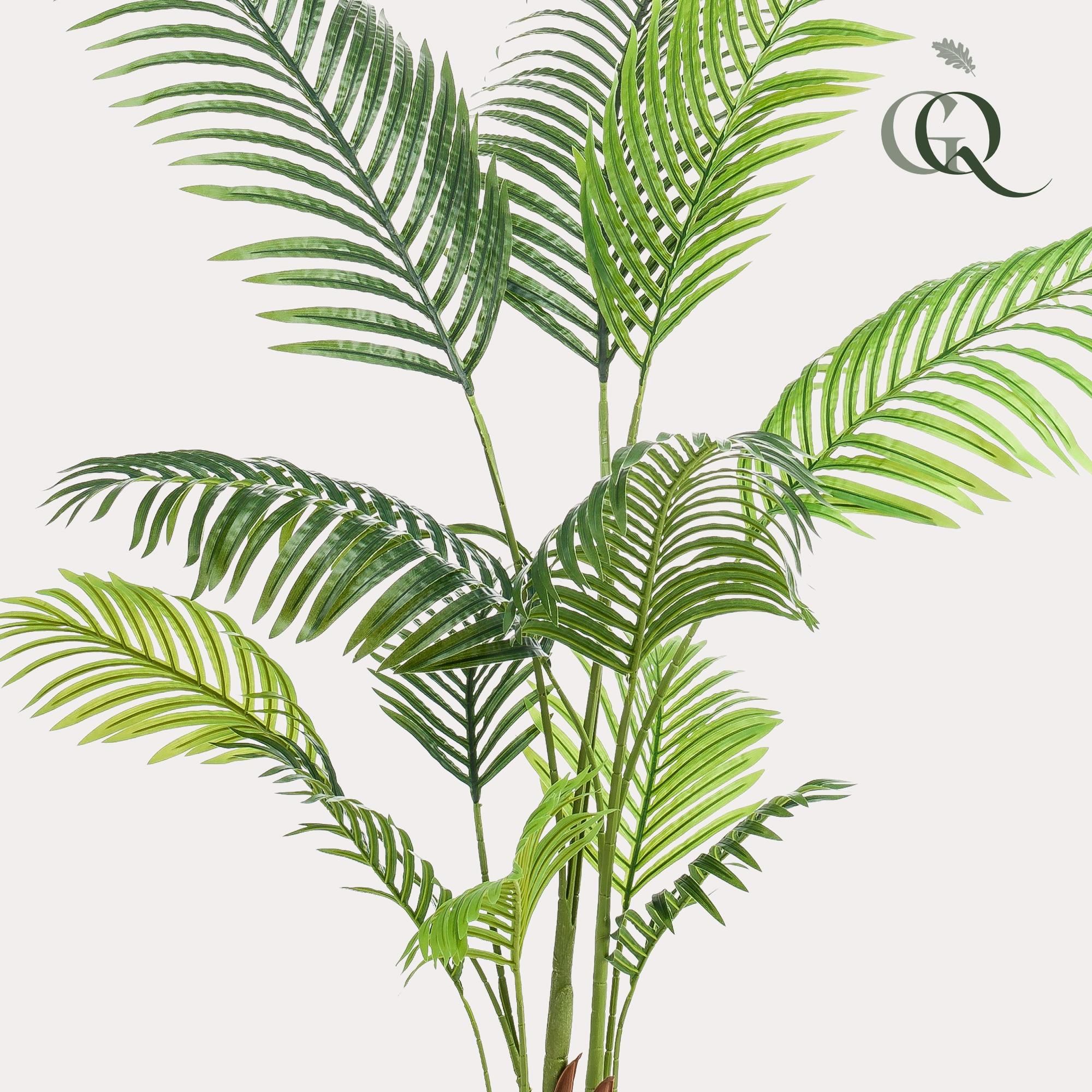 Künstliche Paradiespalme Howea Forsteriana