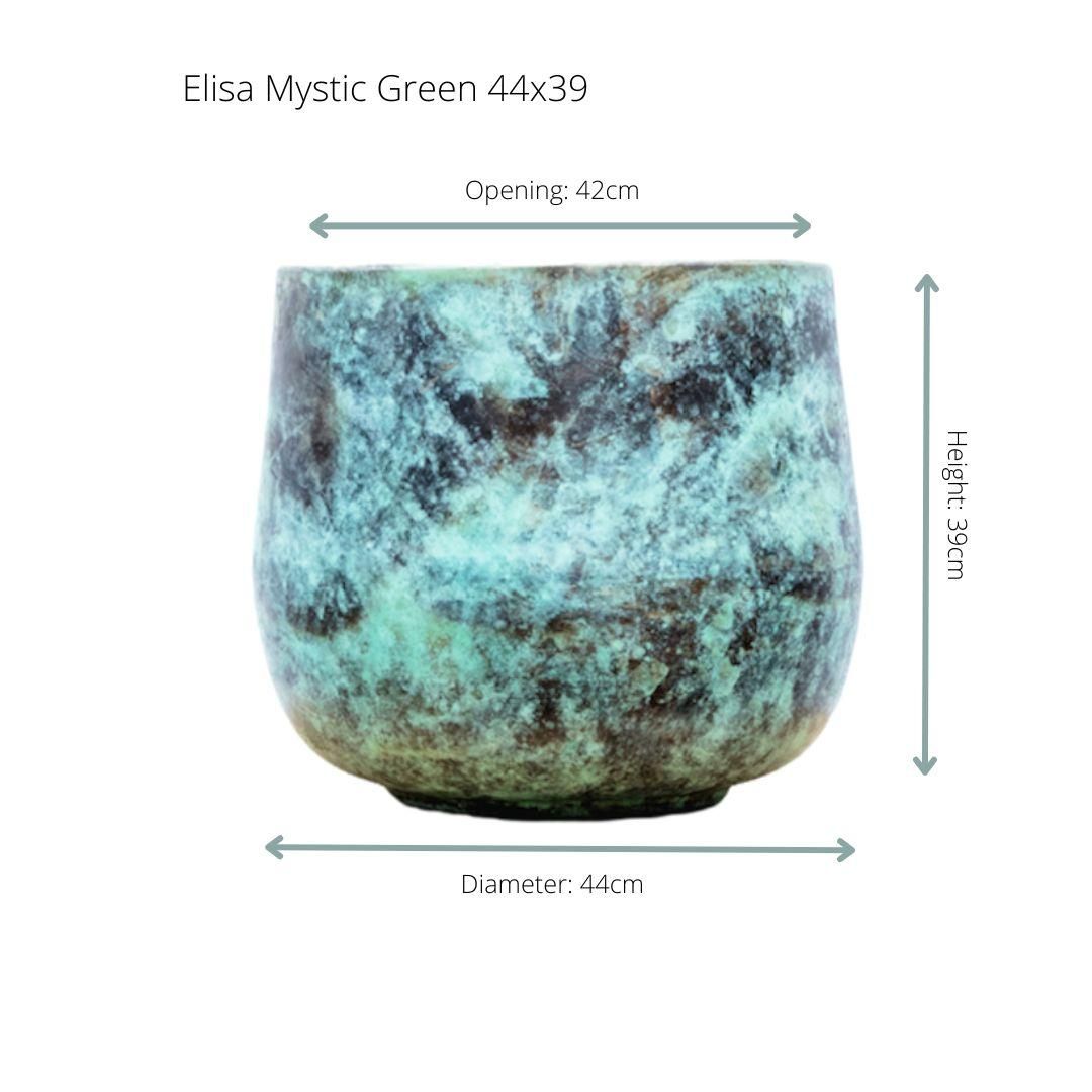 Elisa Mystic Green Zimmerpflanze im dekorativen Topf