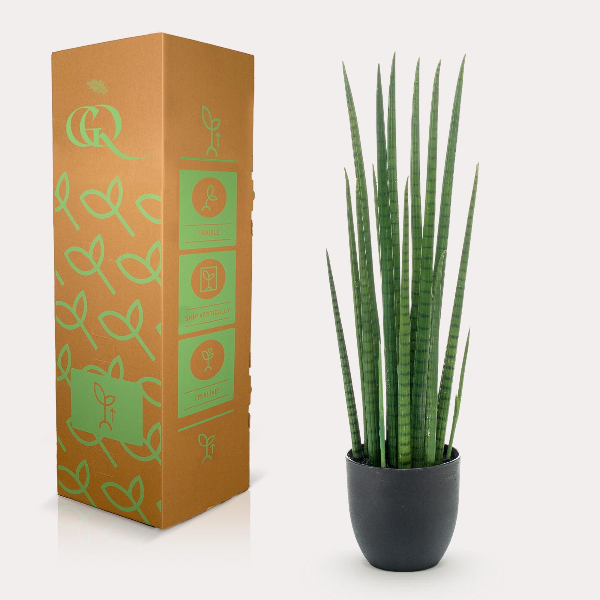 Kunstpflanze Sansevieria Cylindrica Frauenzunge