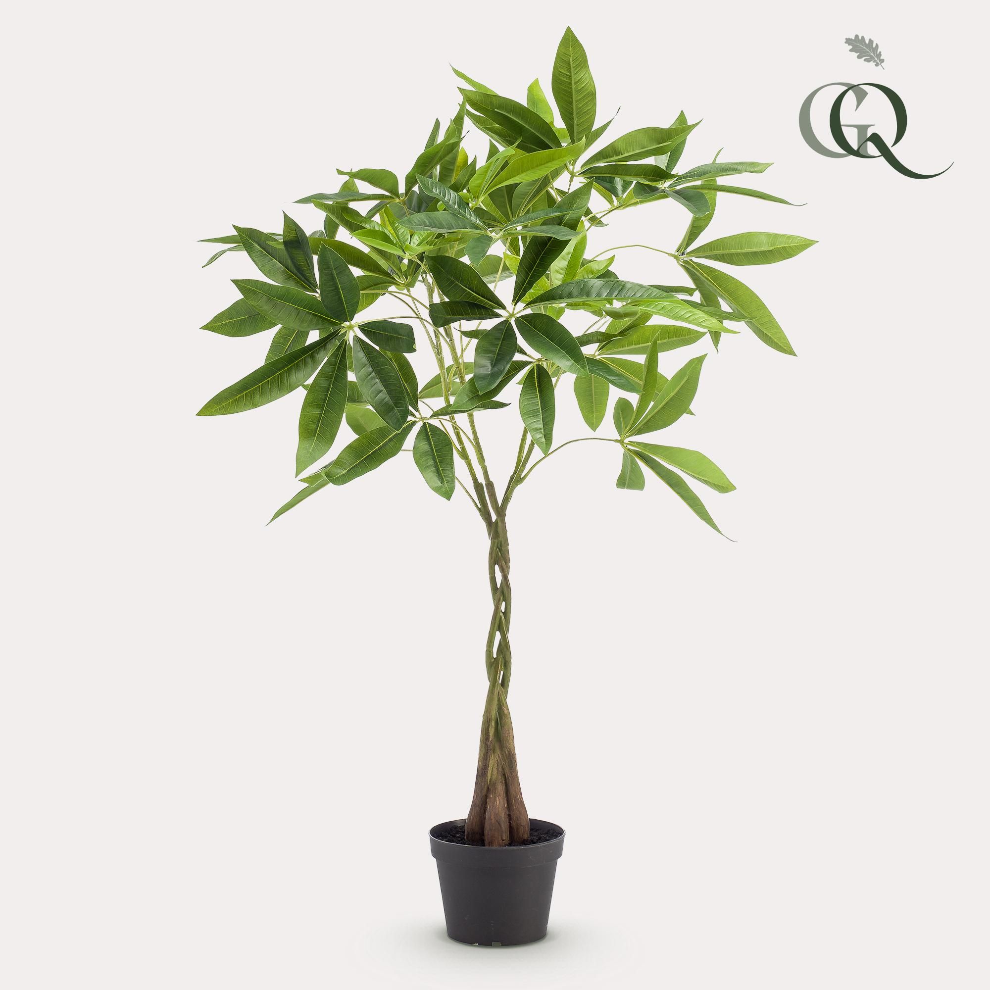 Kunstpflanze Pachira Aquatica – Geldbaum – 90cm Hoch – Täuschend Echt