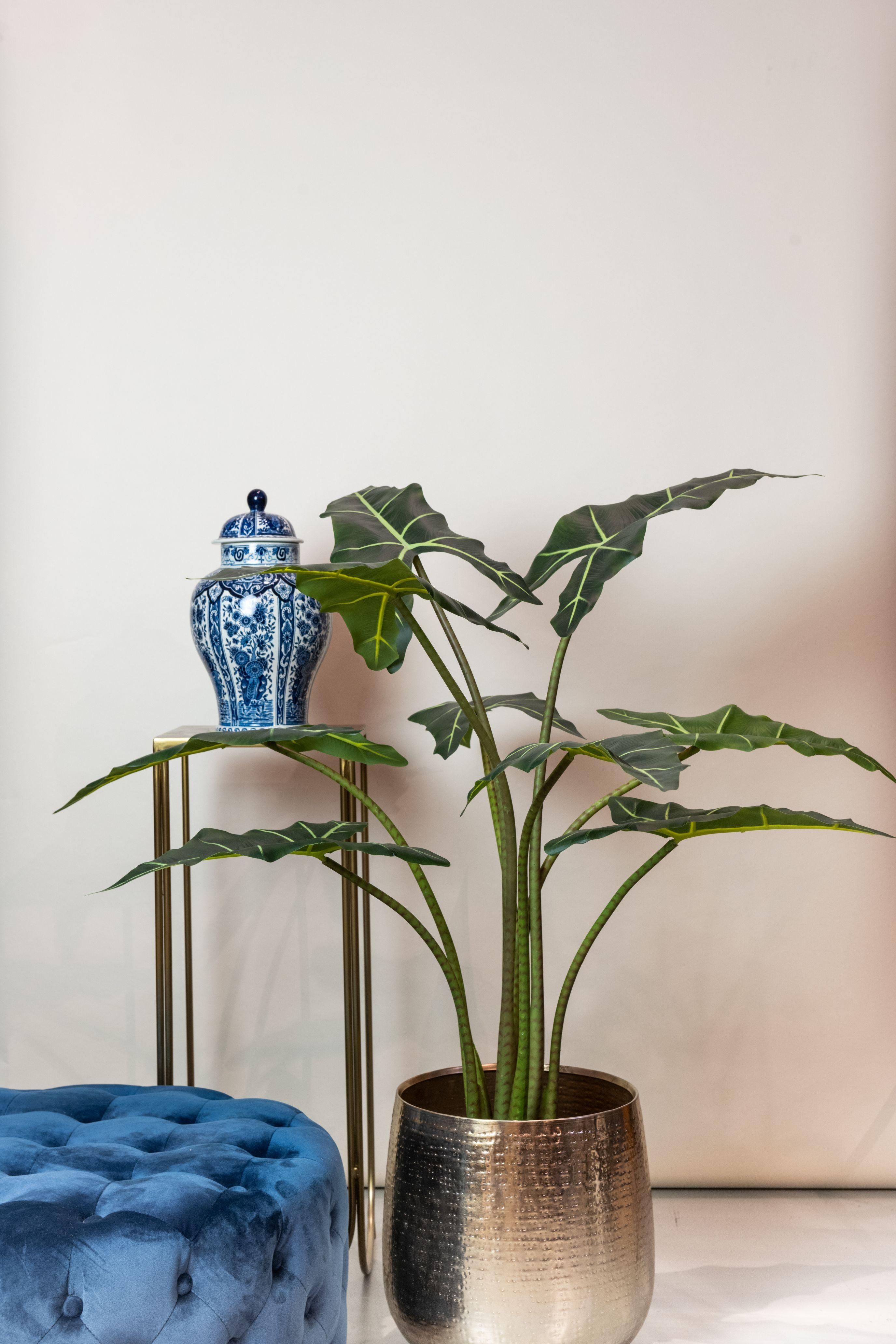 Kunstpflanze Alocasia Frydek Olifantsoor