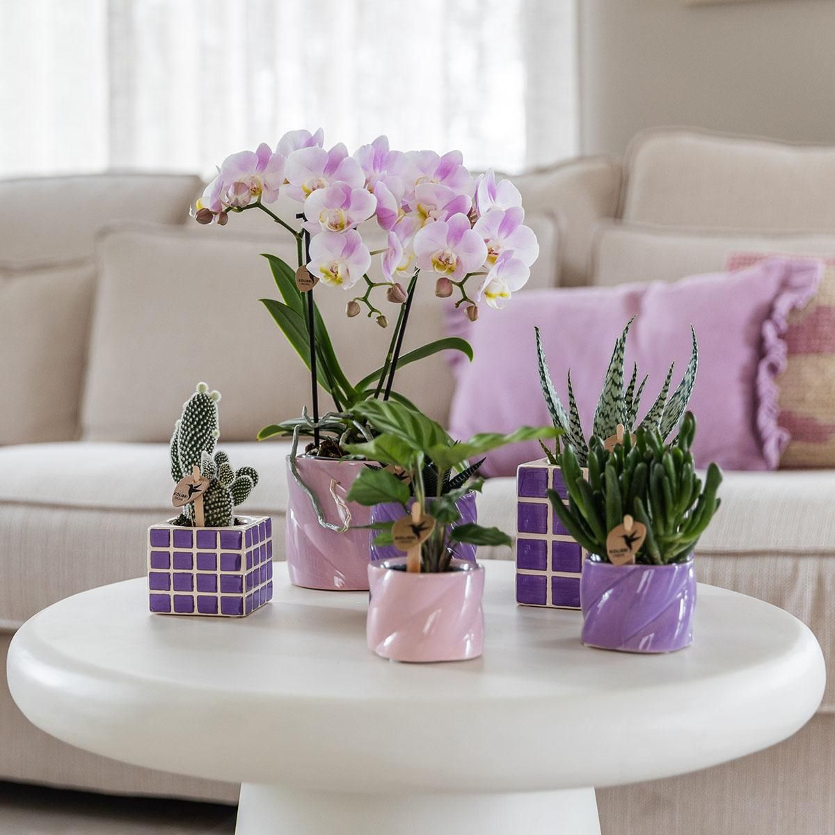 Candy Dekotopf Lilac Keramik rund