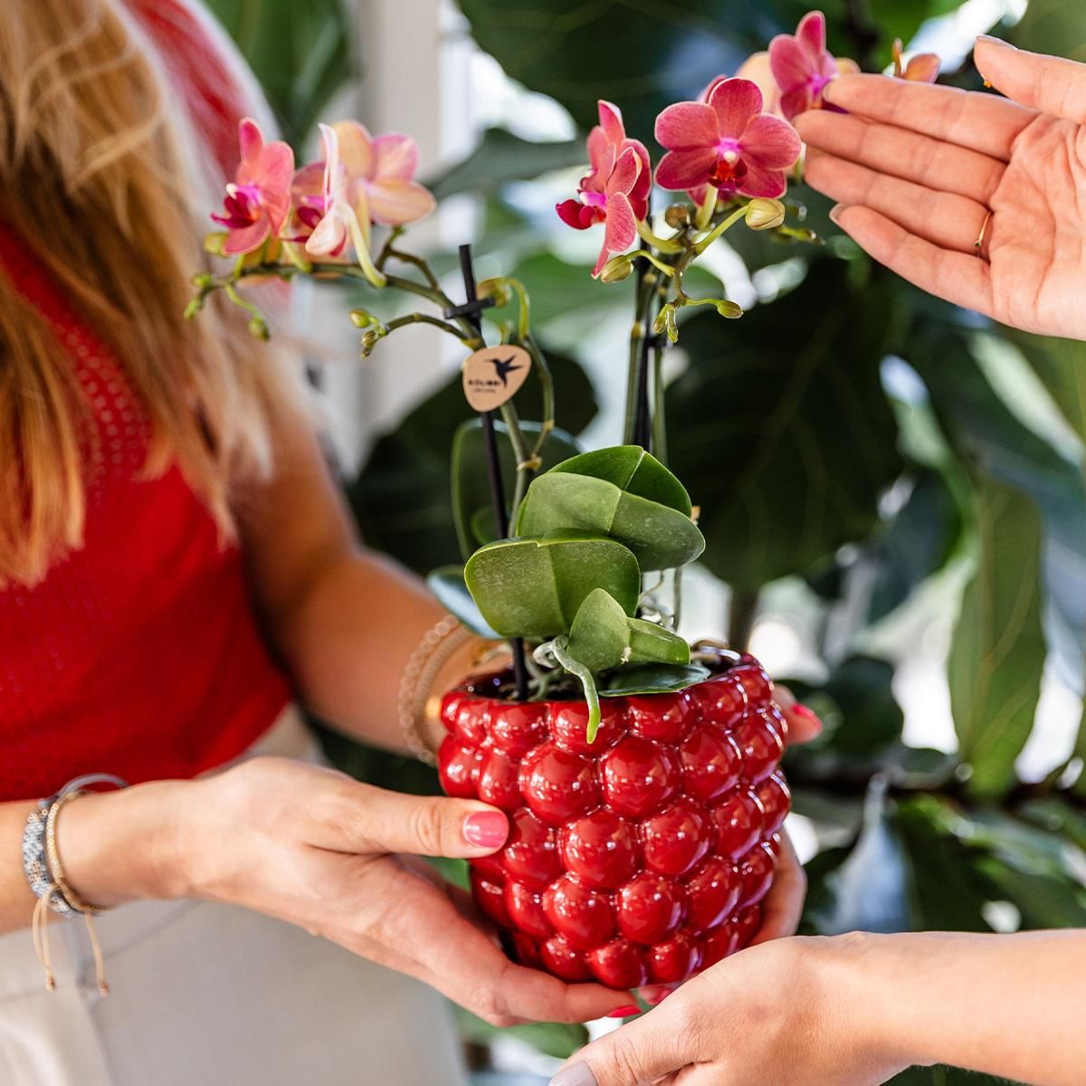 Keramik Blumentopf Berry Rot