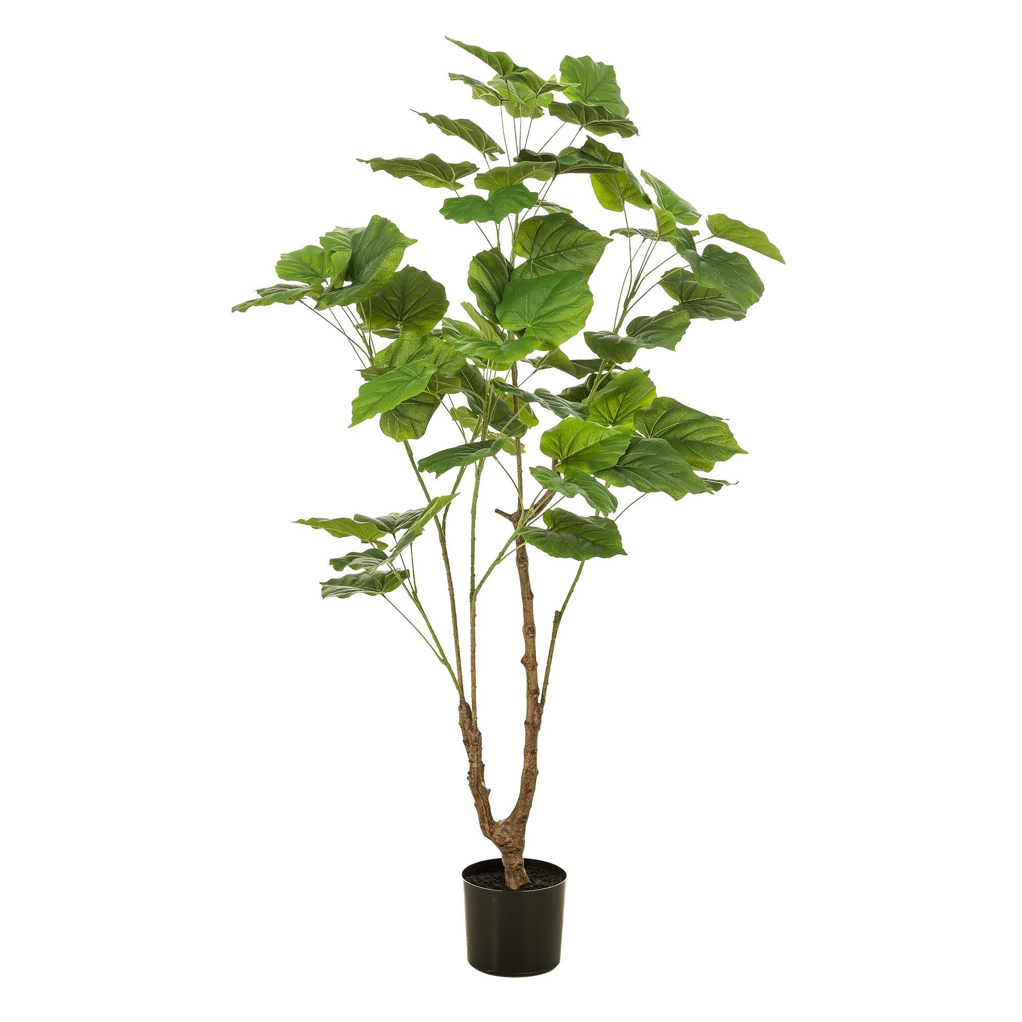 Kunstpflanze Afrikanische Feige Ficus Umbellata 125cm