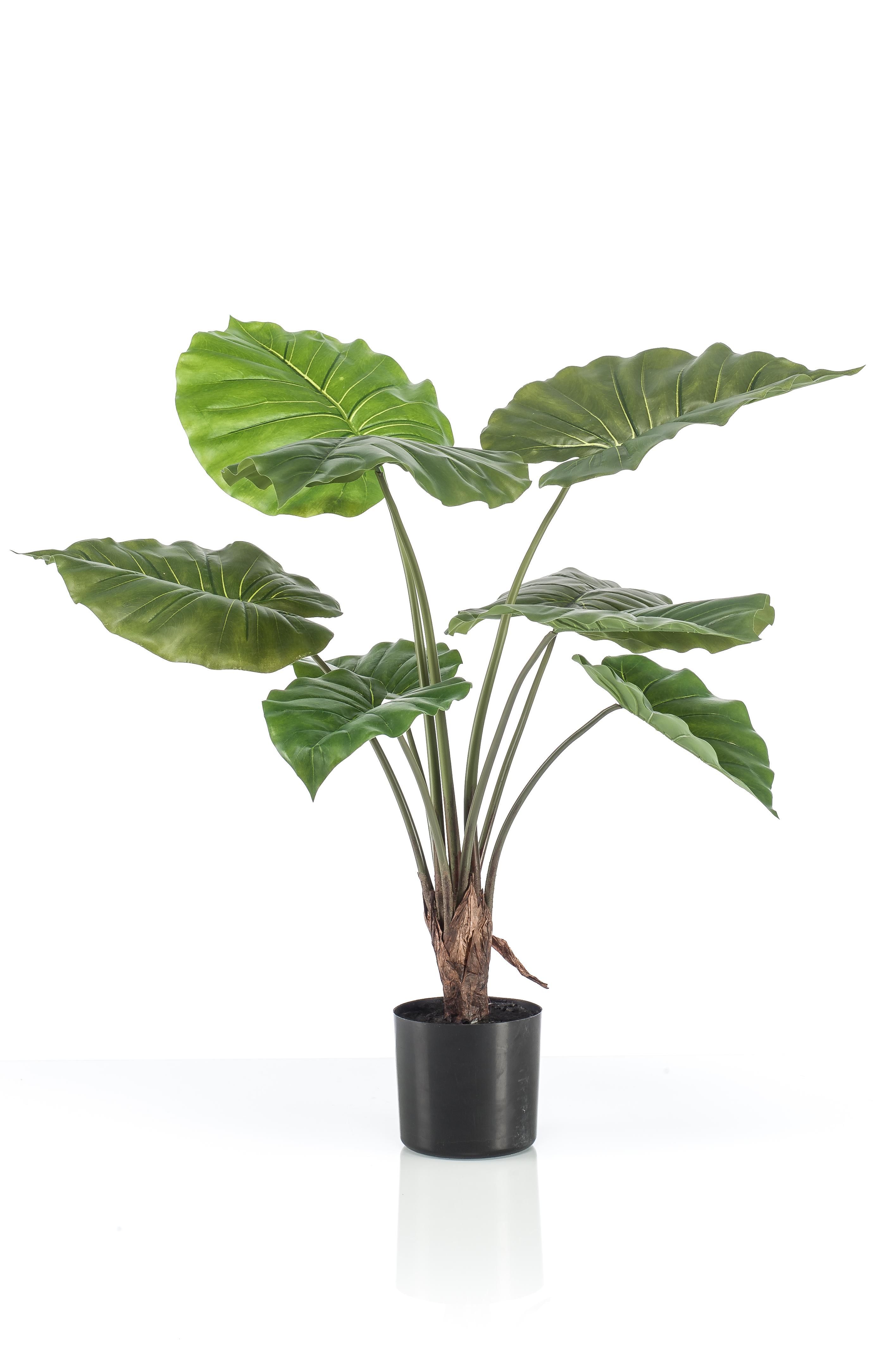 Kunstpflanze Alocasia Elefantenohr