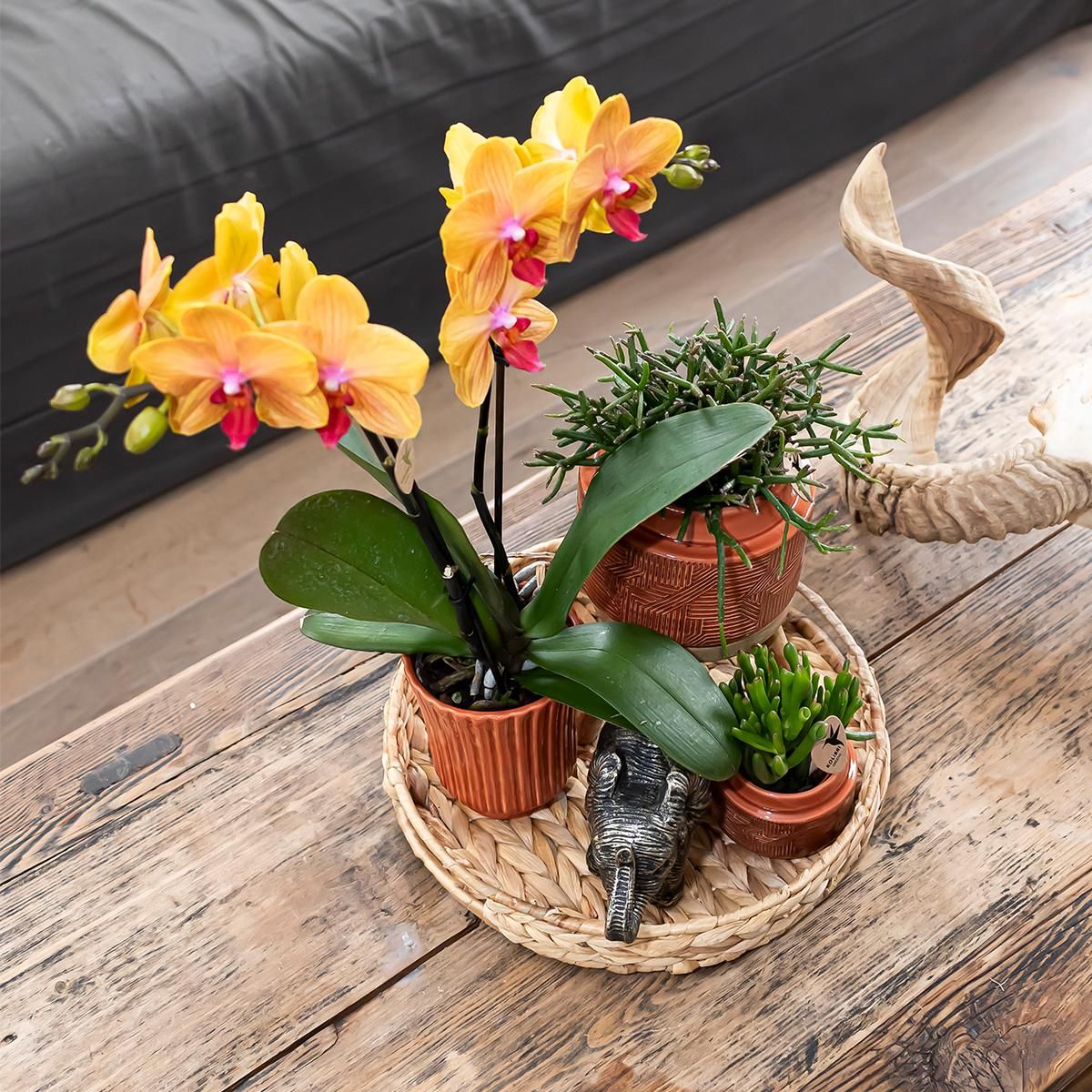 Dekorative Hyazinthenschale rund aus Naturmaterial