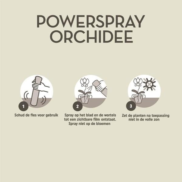Orchideen Powerspray 300 ml – Nährstoffreich & kräftigend