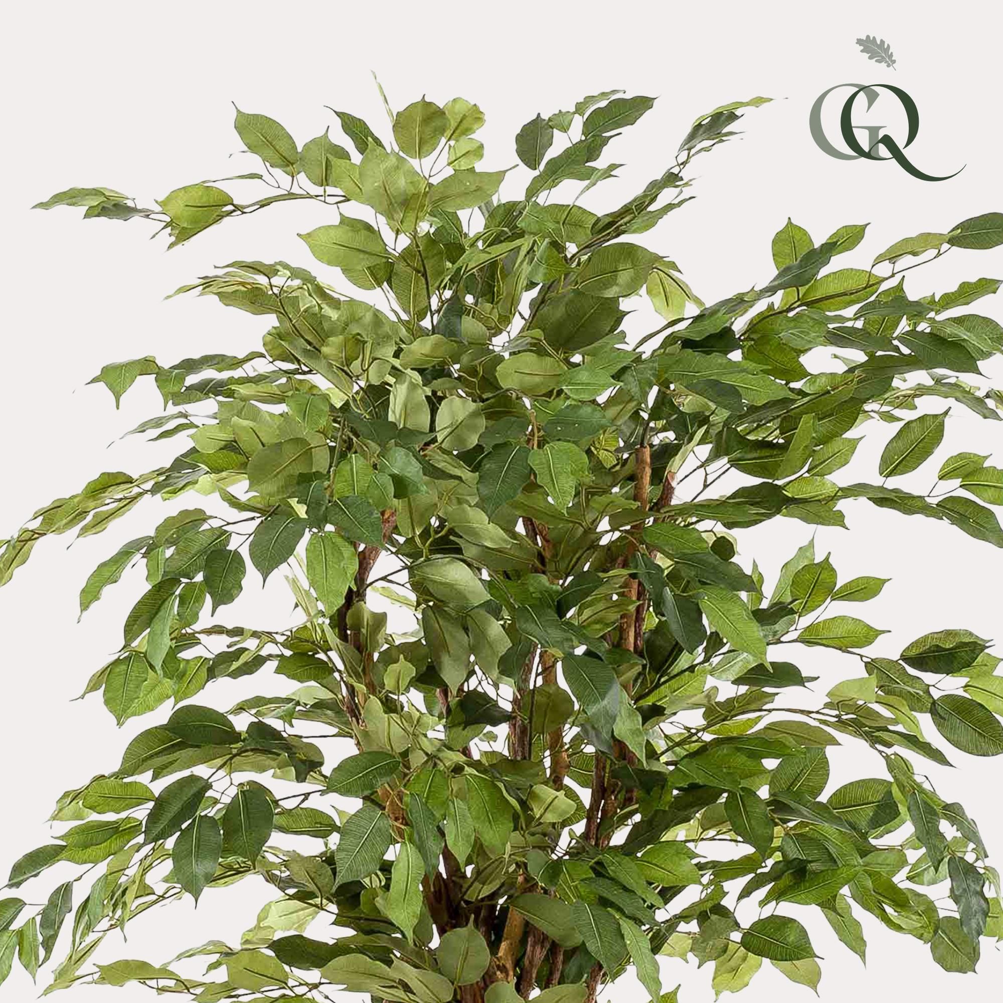 Kunstpflanze Ficus Liana – Kunstblume – 170cm
