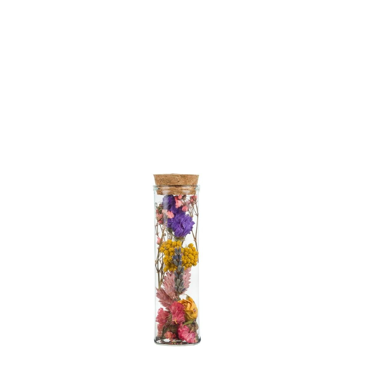 Getrocknete Blumen Wish Bottle Small – 12 Stück – ↕10cm – Bunt