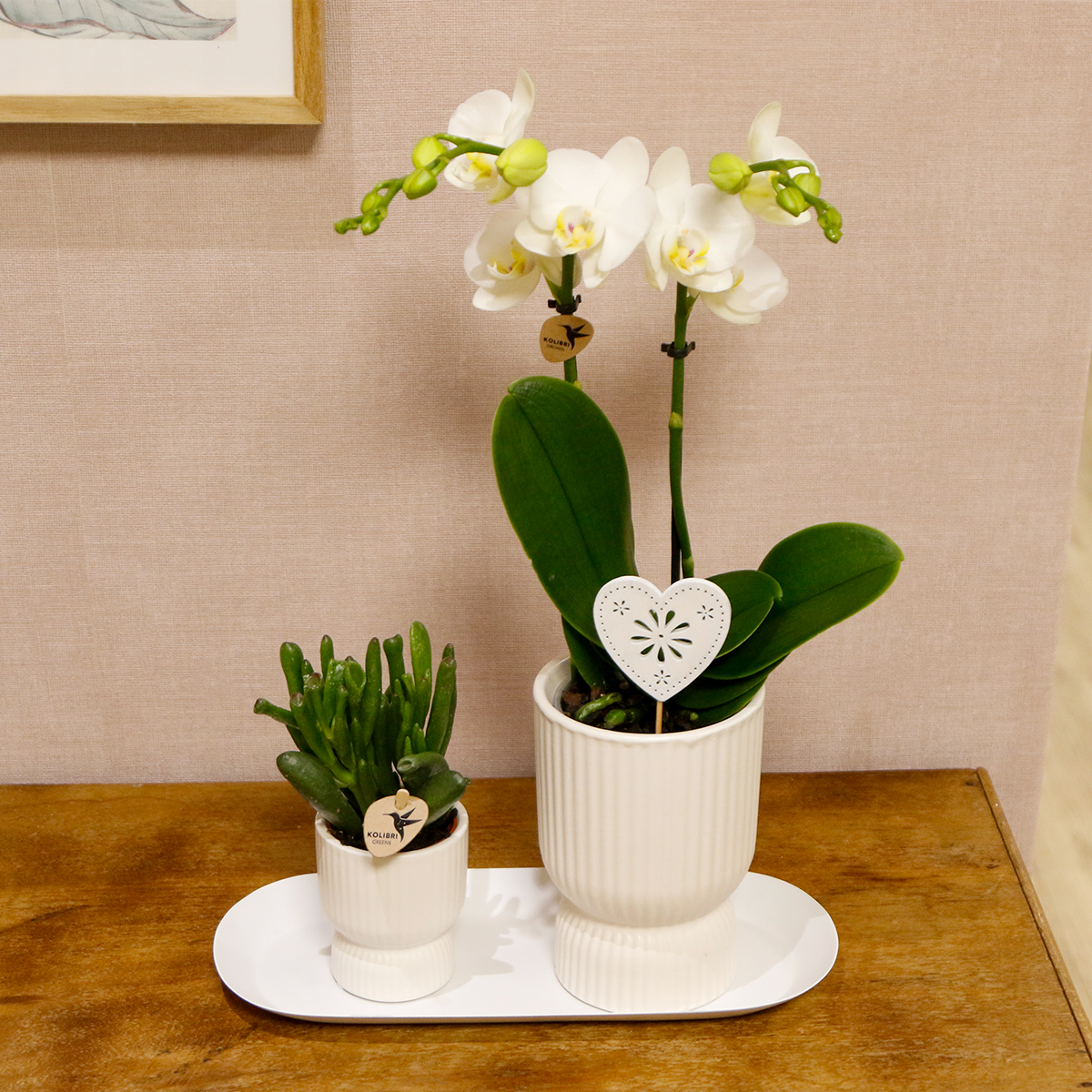 Pflanzenset Silbertablett – 2 Grünpflanzen, 1 weiße Phalaenopsis Orchidee – inkl. weiße Übertöpfe