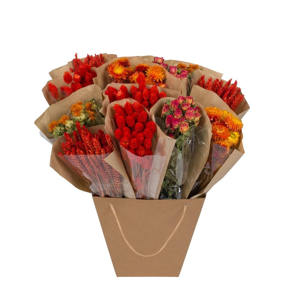Getrocknete Blumen – Dried Mono Mix – Orange – ca. 50cm