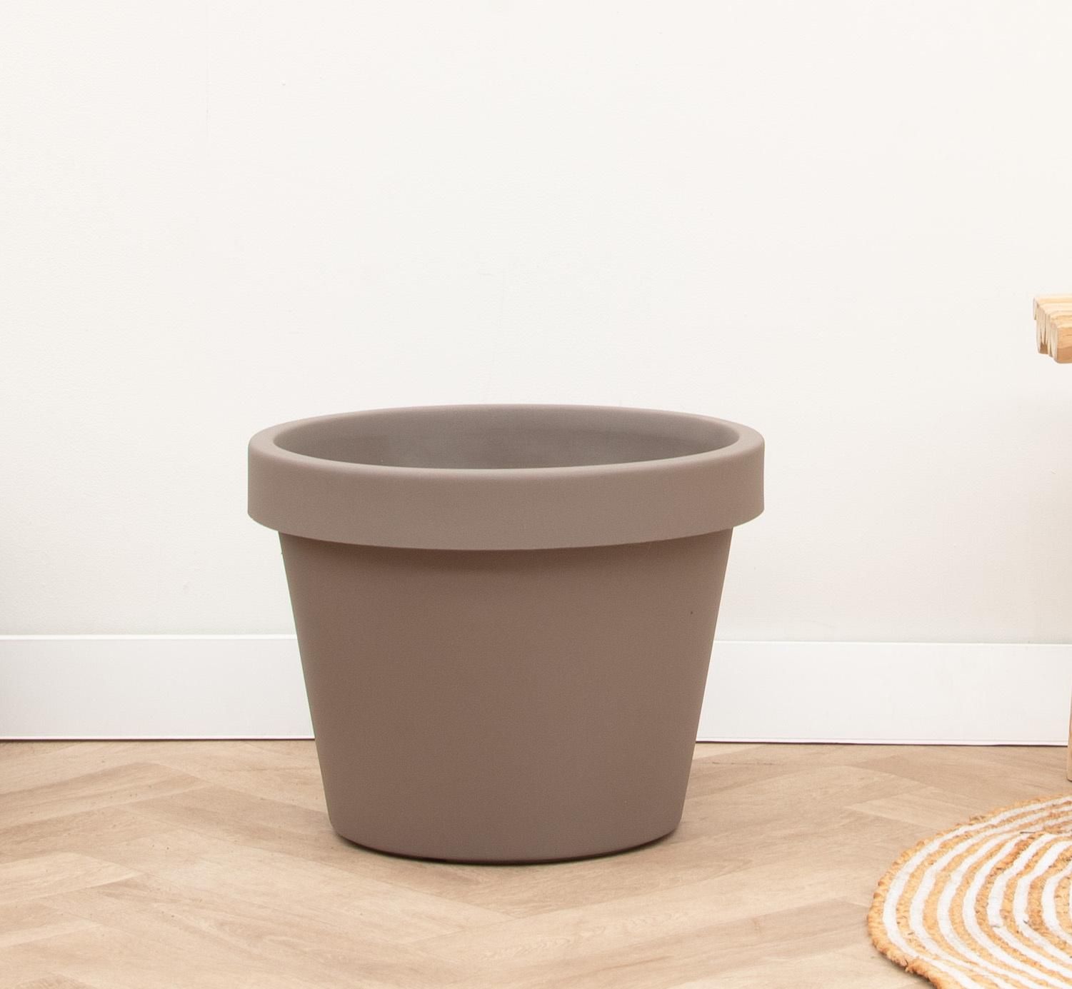 Lira Tortora Zimmerpflanze im modernen Designer-Topf