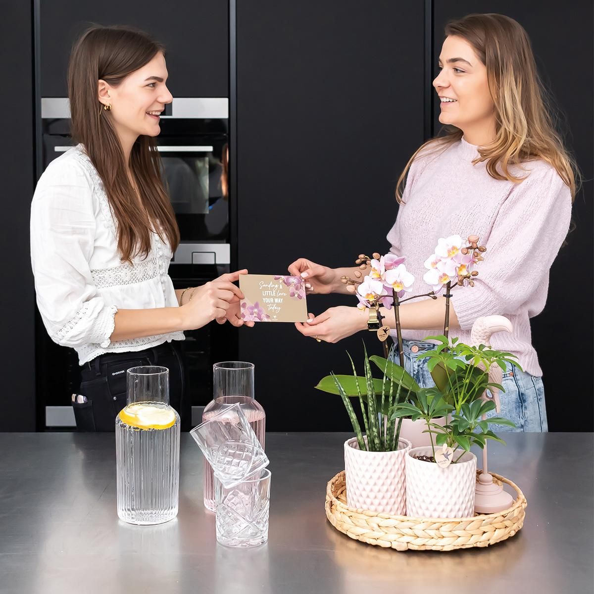 Dekorative Hyazinthenschale rund aus Naturmaterial