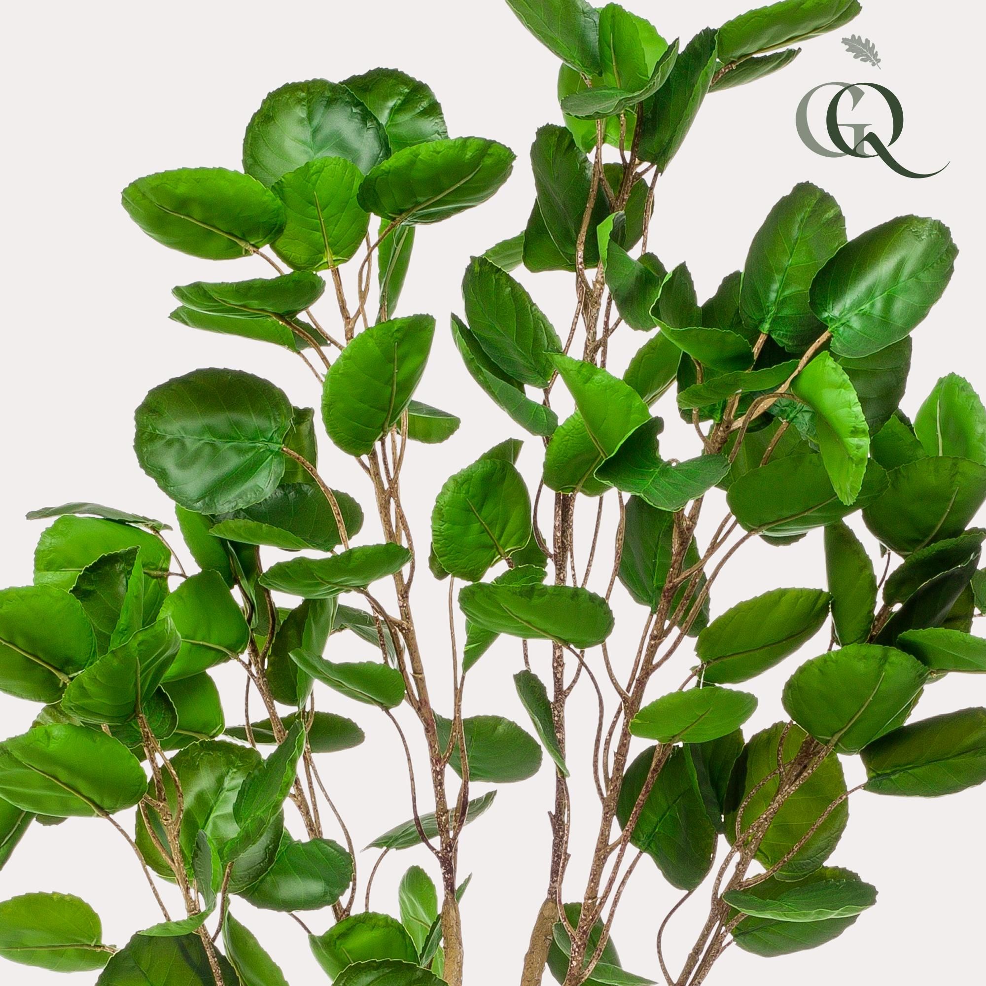 Kunstpflanze Polyscias Aralia 150 cm