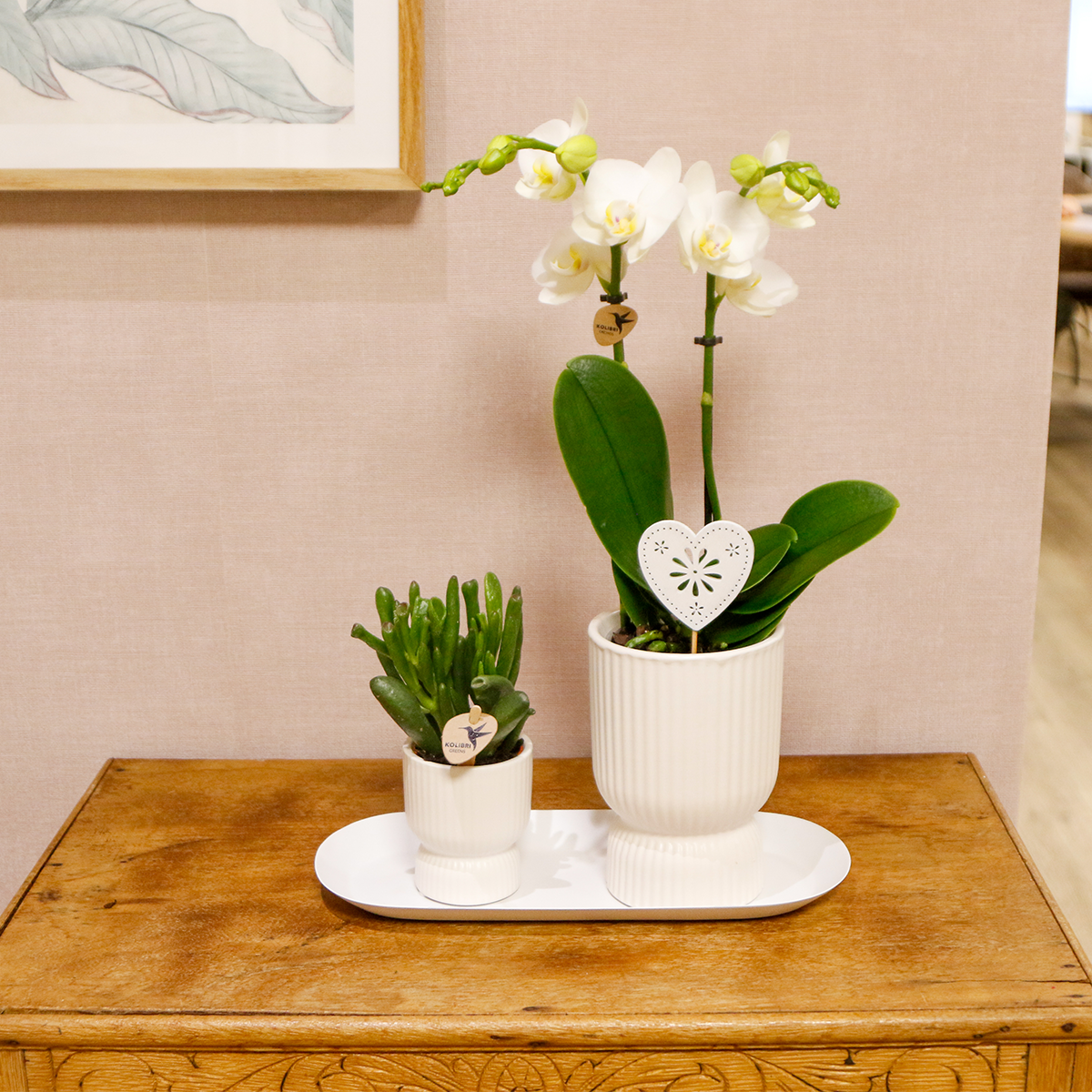 Pflanzenset Silbertablett – 2 Grünpflanzen, 1 weiße Phalaenopsis Orchidee – inkl. weiße Übertöpfe