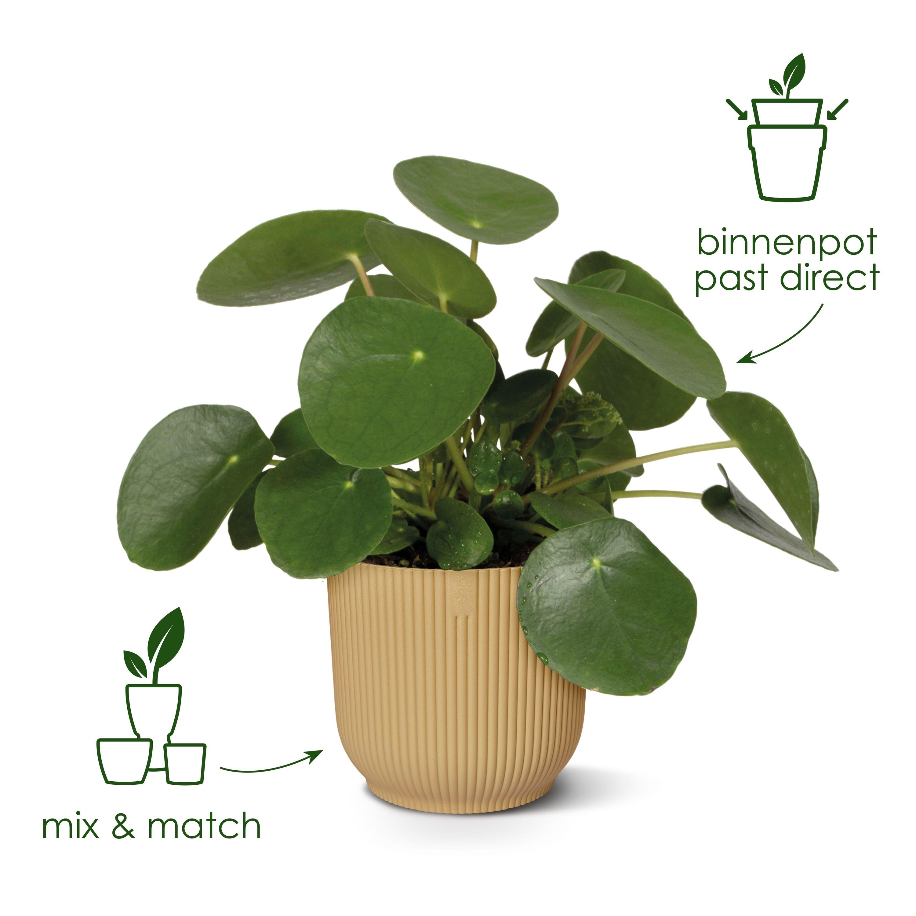 Minimalistischer Elho Vibes Fold Blumentopf