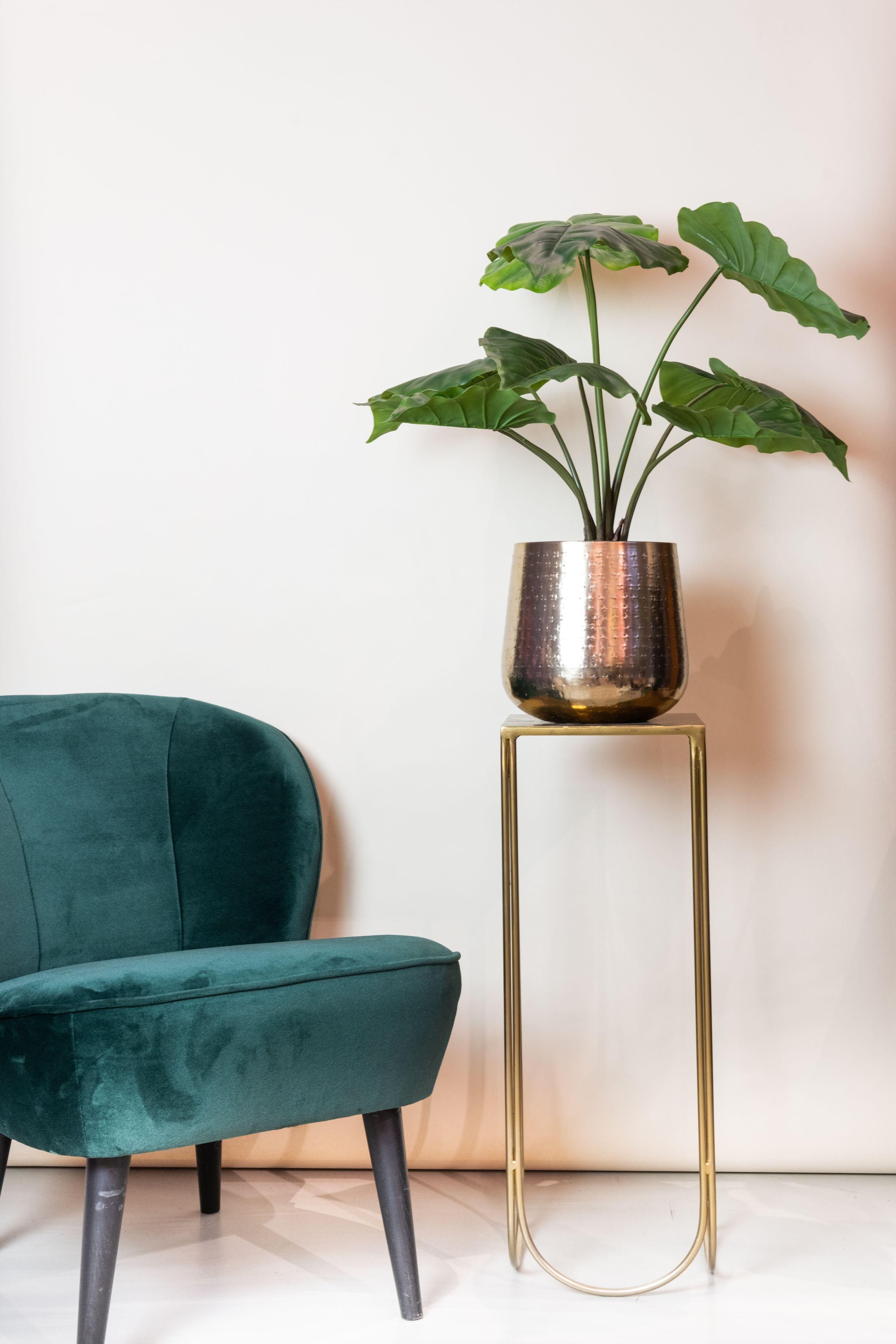 Kunstpflanze Alocasia Elefantenohr