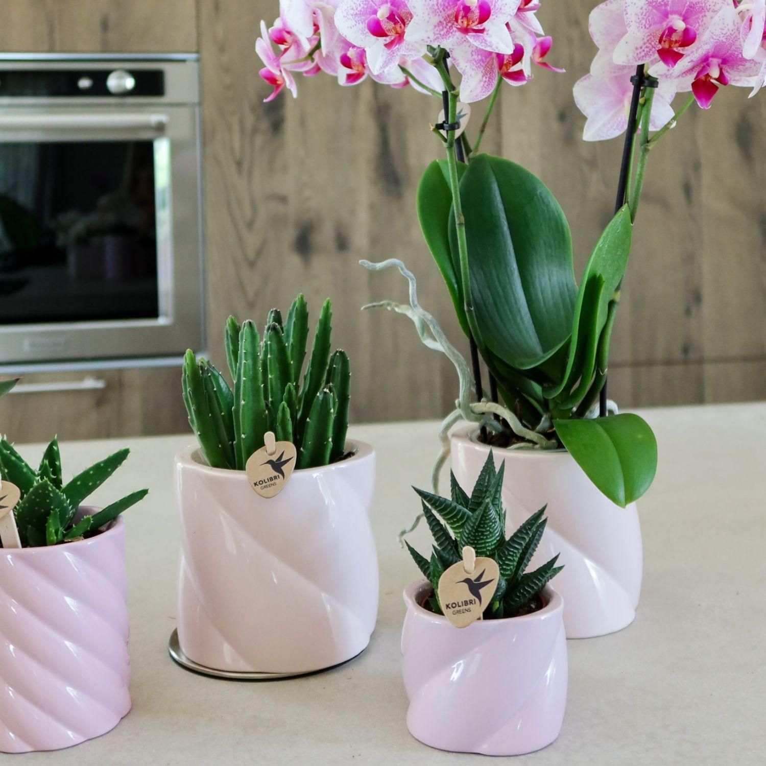 Candy Dekotopf in Pink aus Keramik