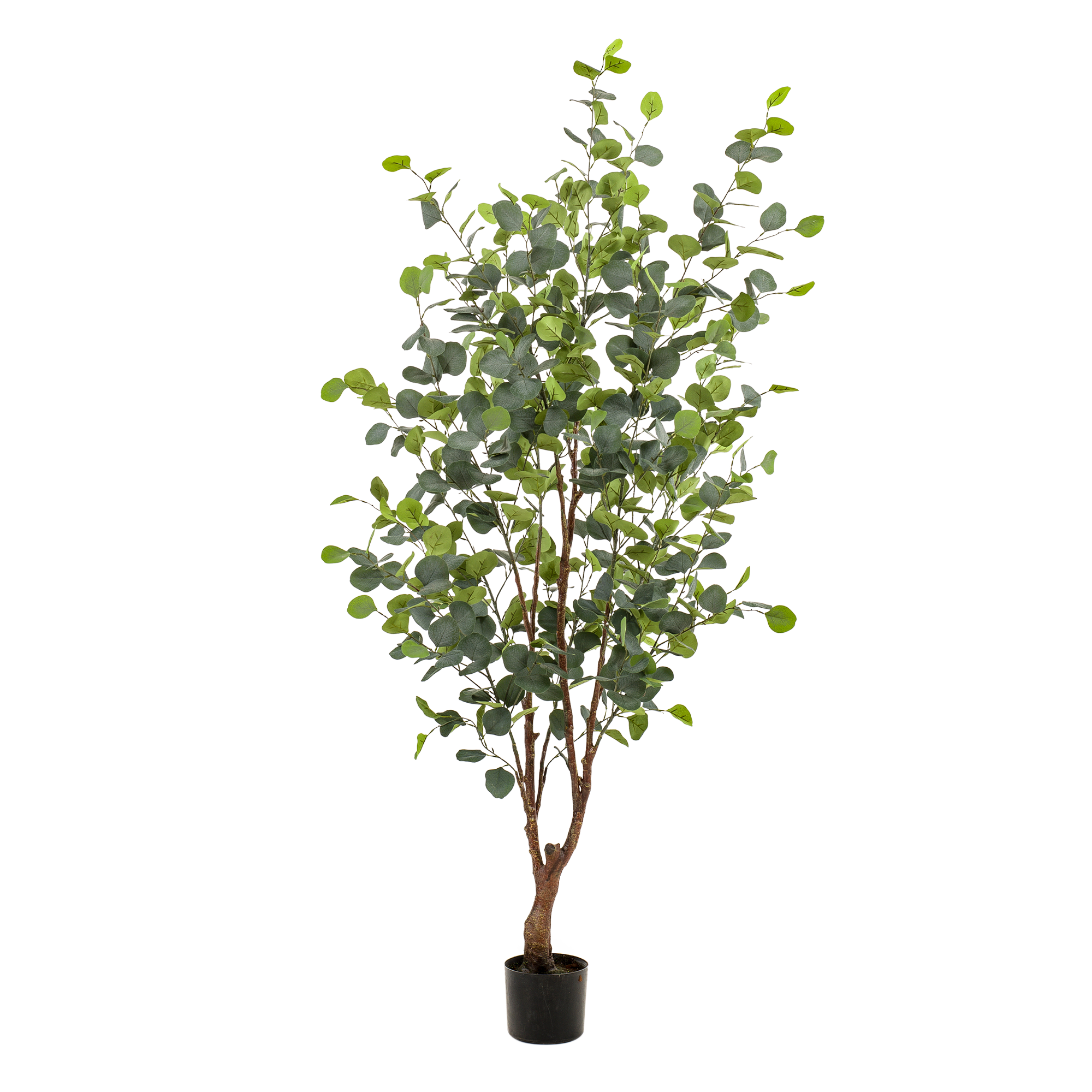 Kunstpflanze Eucalyptusbaum Blauer Gummibaum