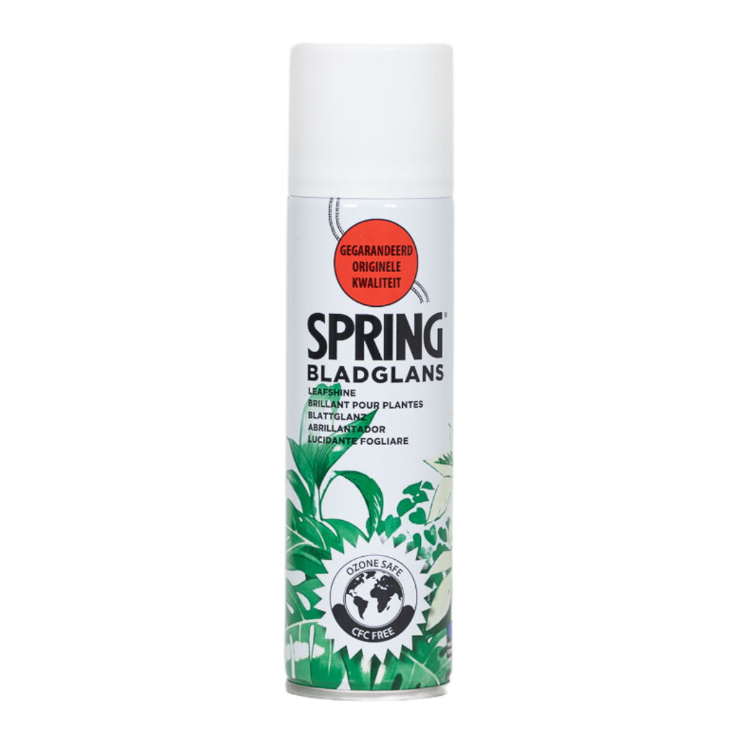 Blattglanz Spray für Zimmerpflanzen