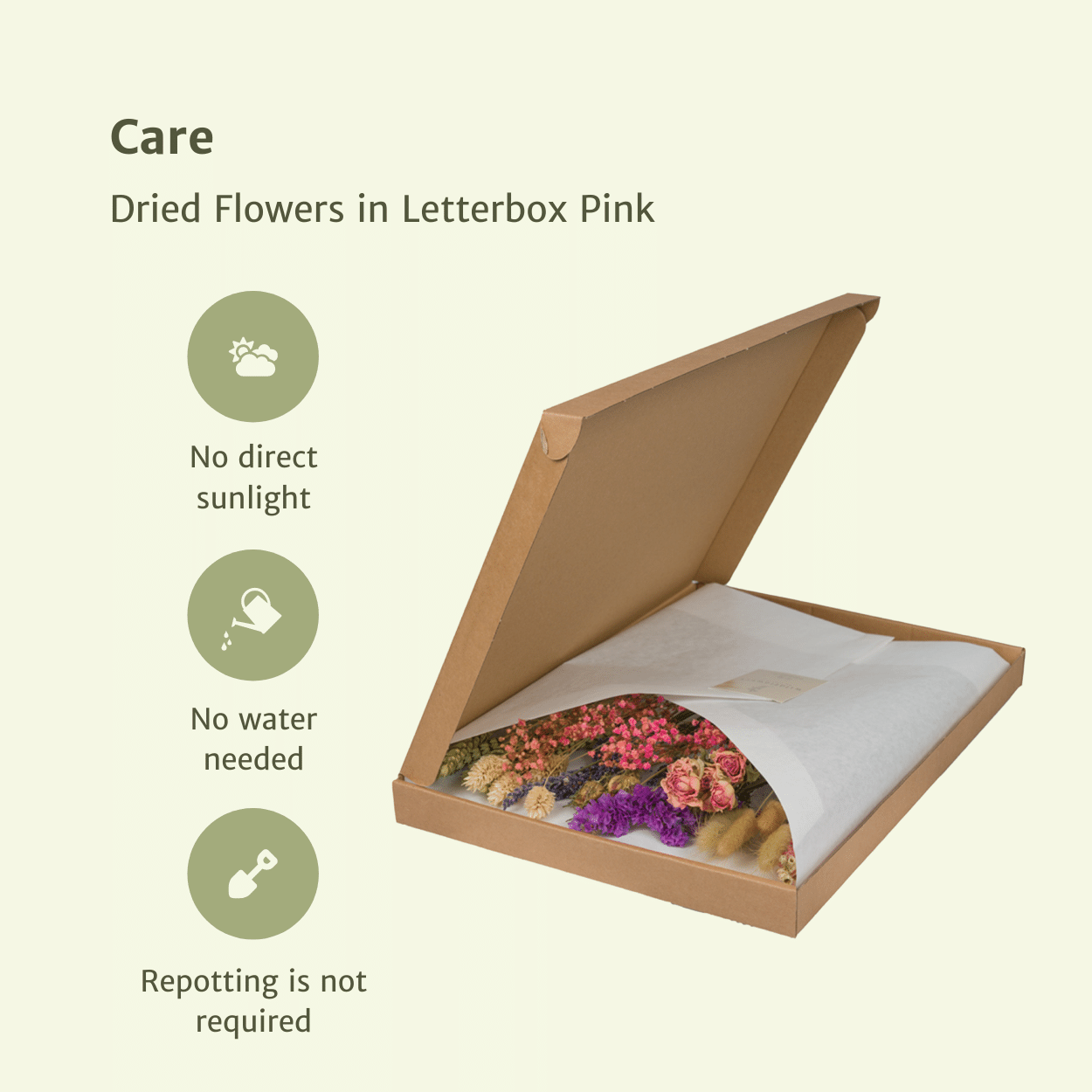 Elegante Trockenblumen im Briefkasten Pink