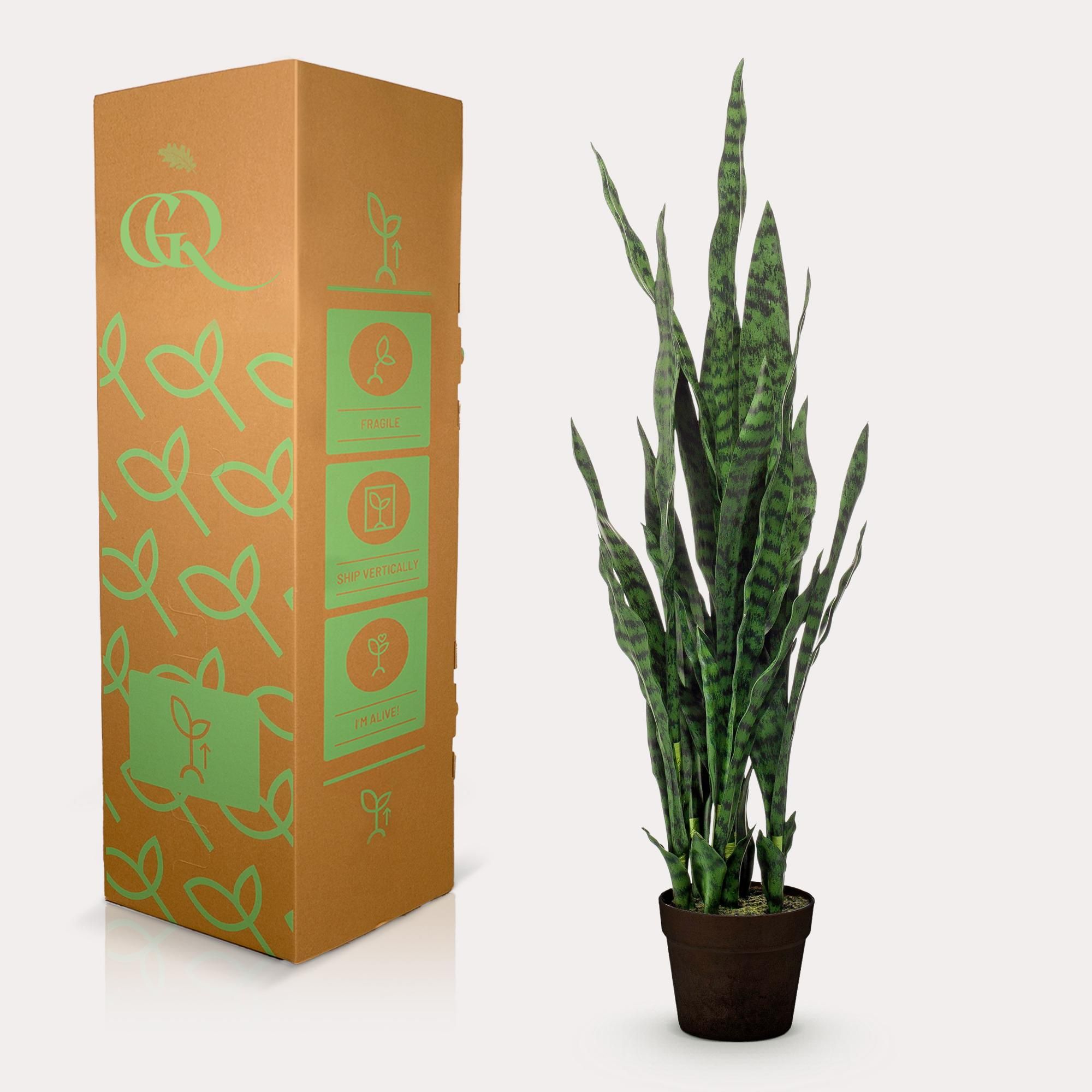Kunstpflanze Sansevieria Black Coral Vrouwentong