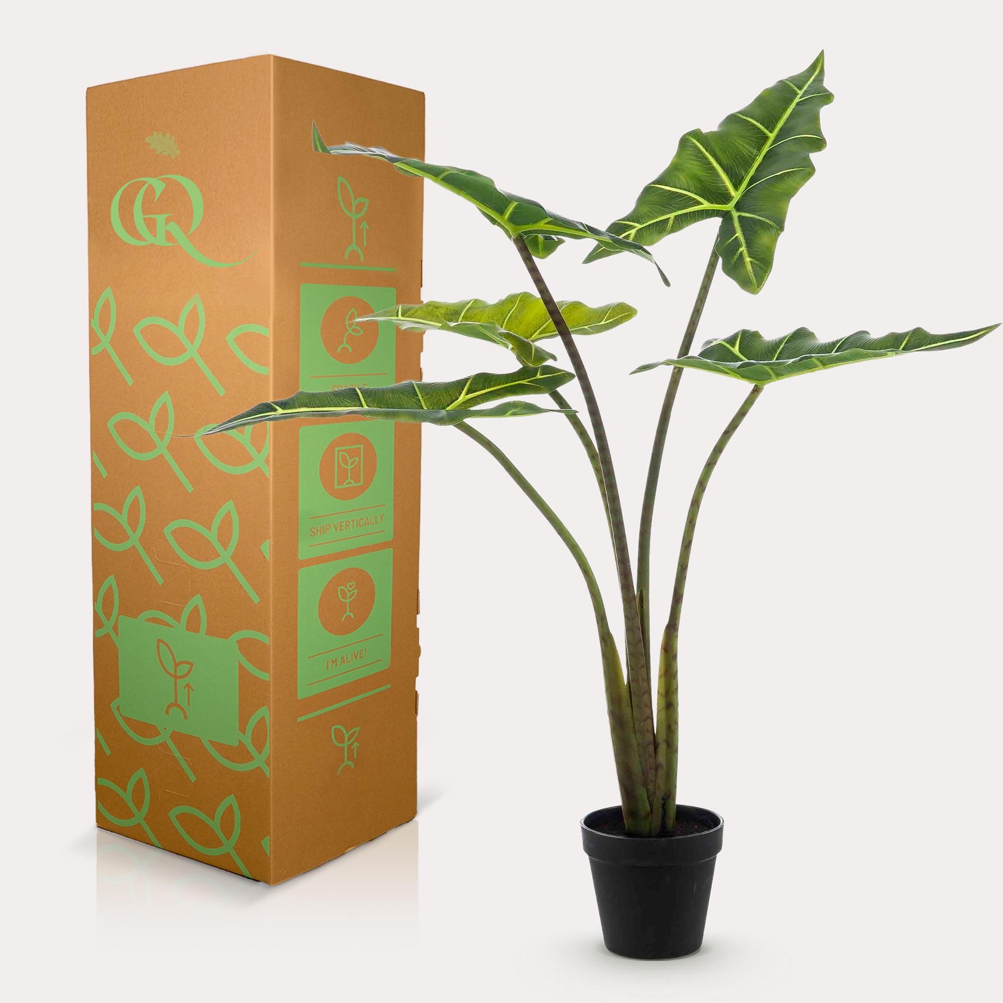 Kunstpflanze Alocasia Frydek 80 cm