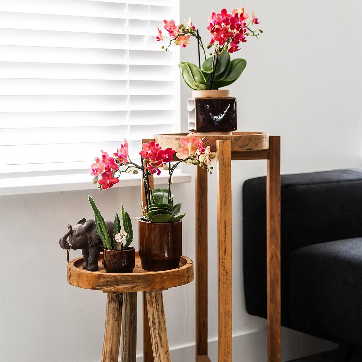 Keramik Deko Blumentopf Classy Braun