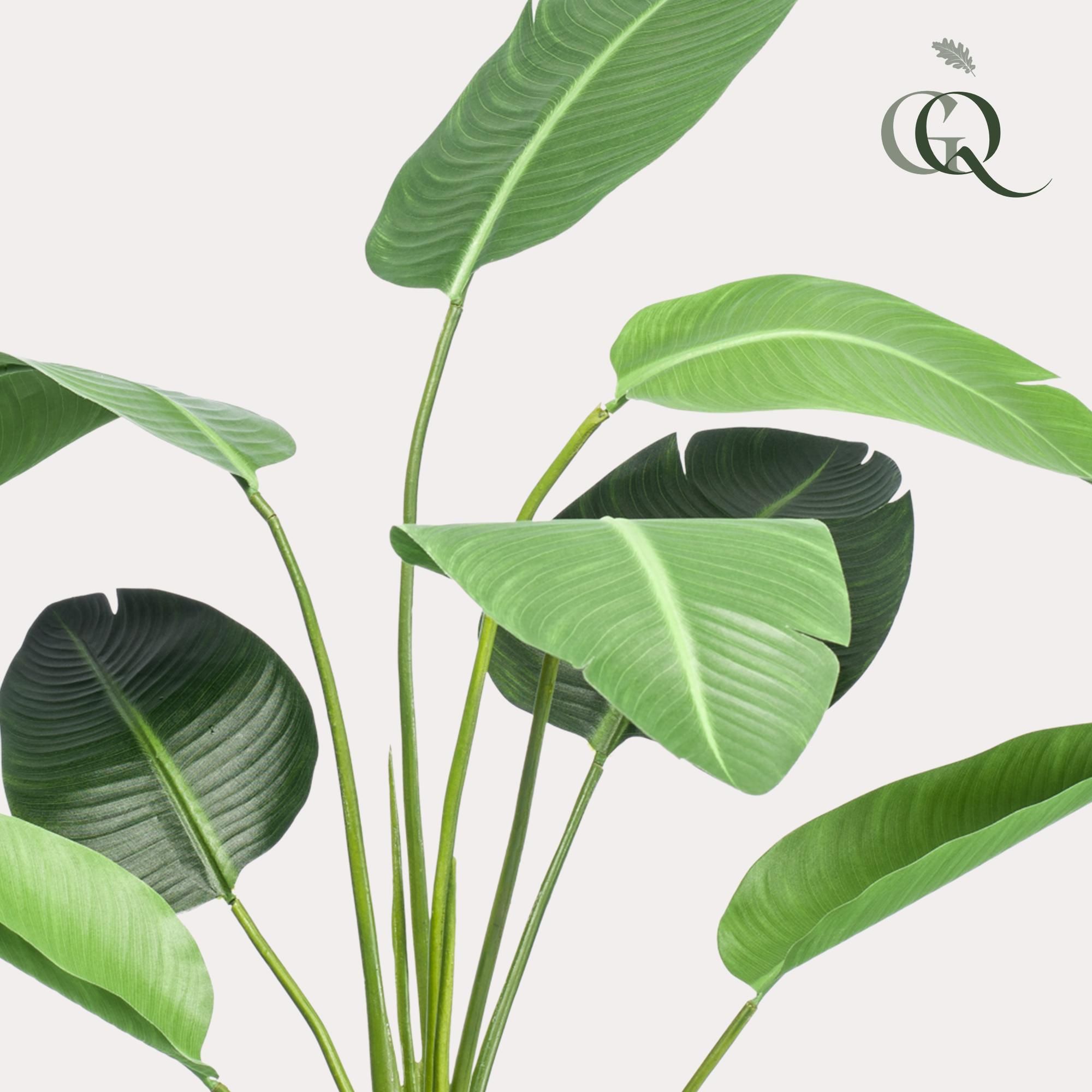 Kunst Strelitzia nicolai | Paradiesvogelblume | 120cm
